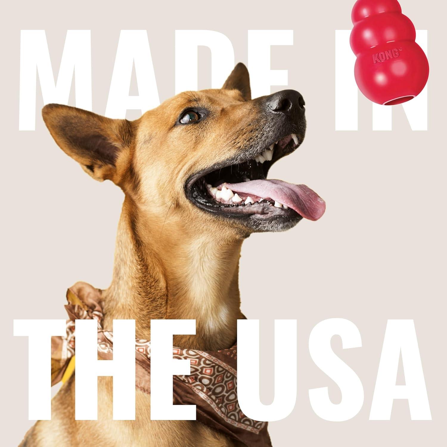 KONG Flyer - Disco Volador para Perros Pequeños de Caucho