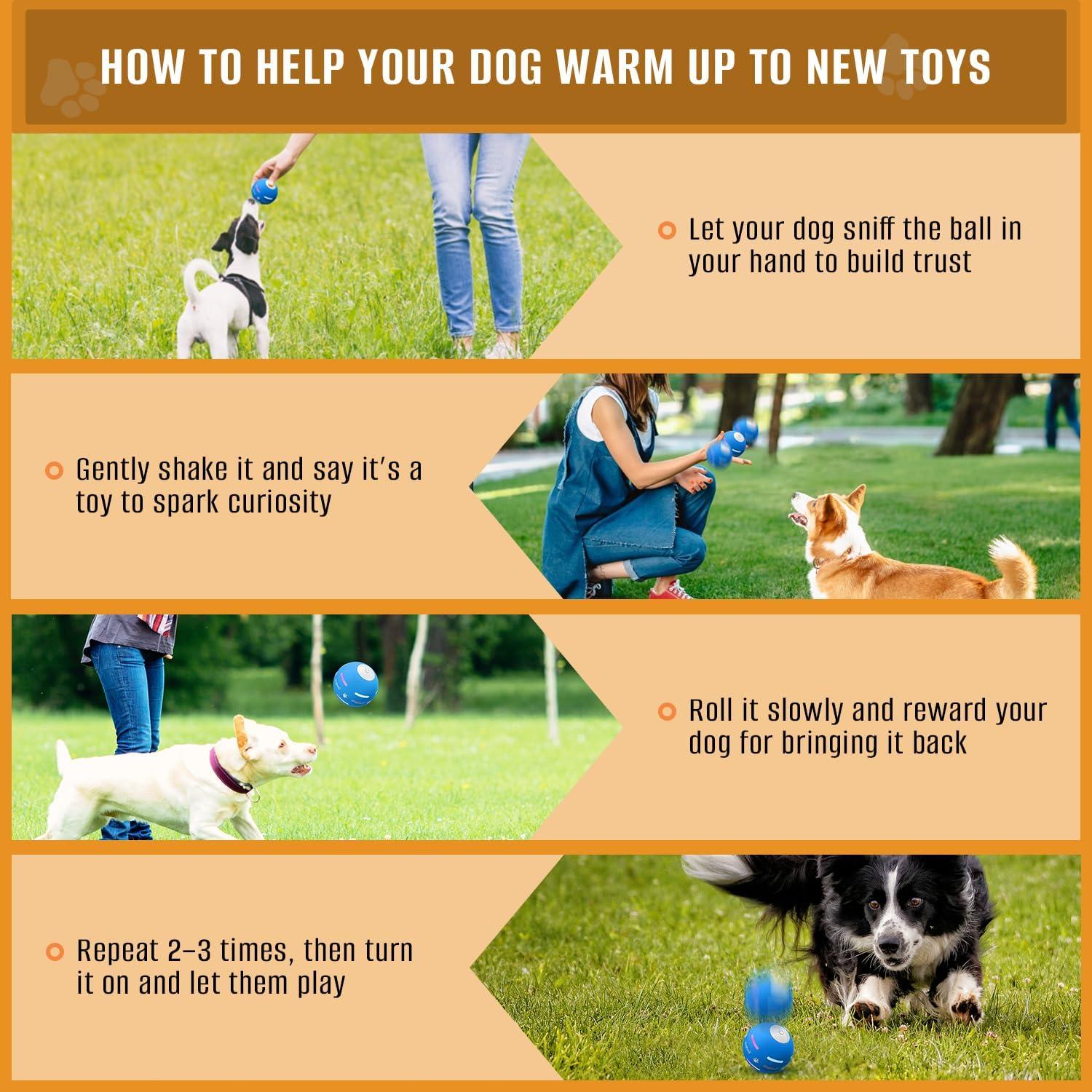 Pelota Interactiva para Perros PetDroid M04, Recargable USB