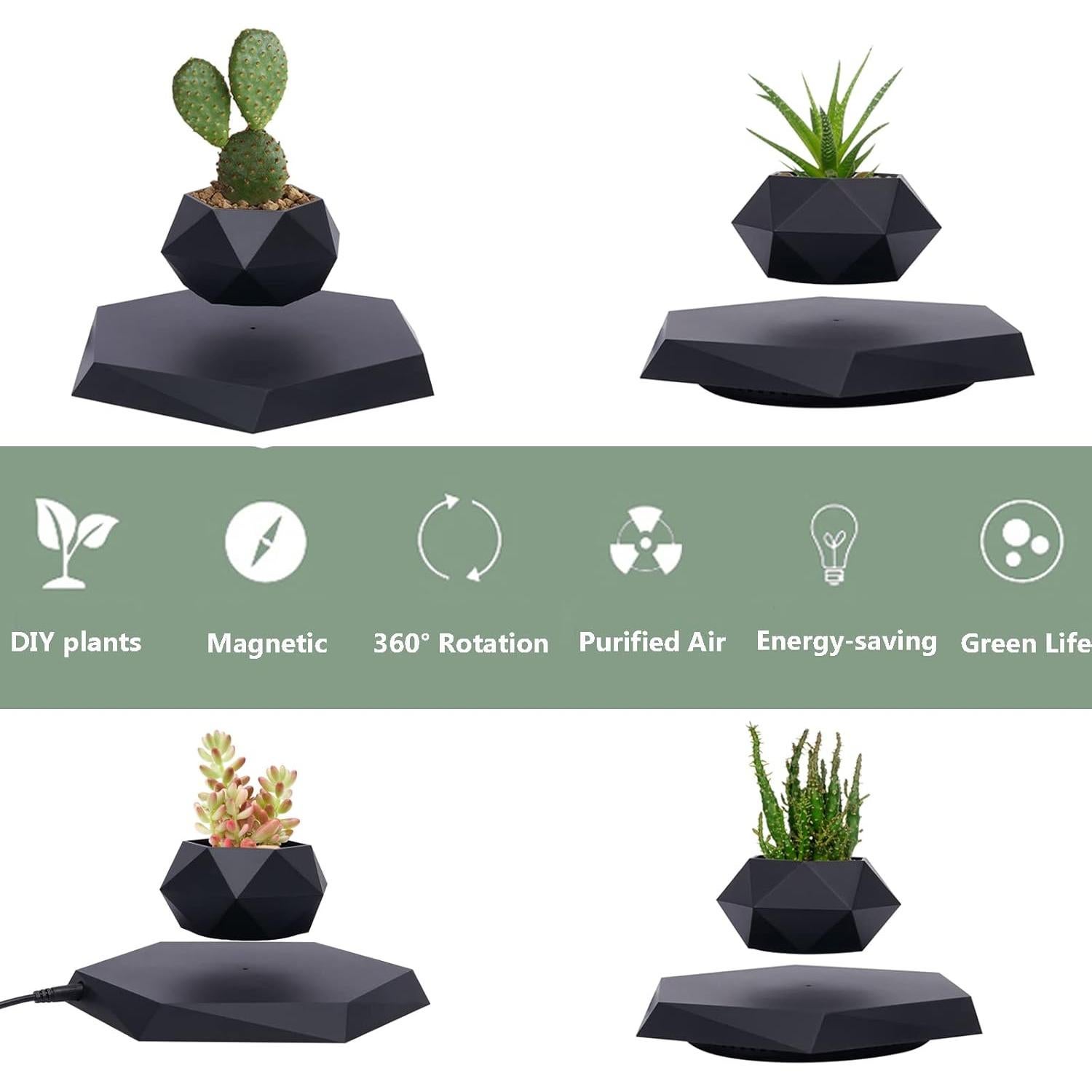 Maceta Flotante WUPYI Diamante Negra para Plantas de Aire