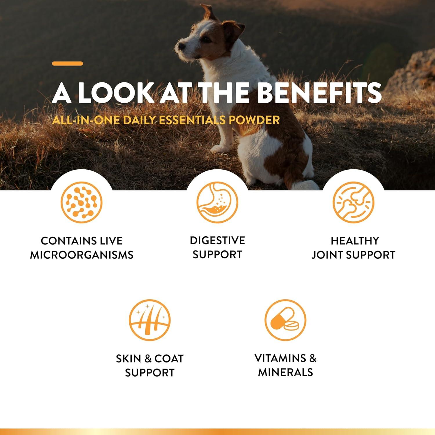 Suplemento Todo-en-Uno NaturVet para Perros 368.5g - Articulaciones, Piel y Digestión