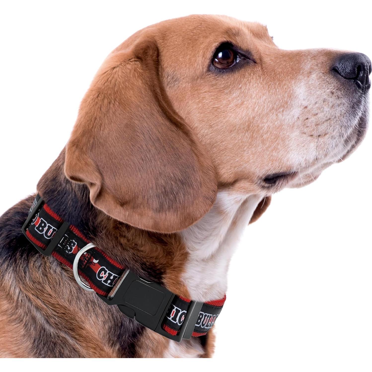 Collar para Mascotas Pets First NBA Chicago Bulls Mediano