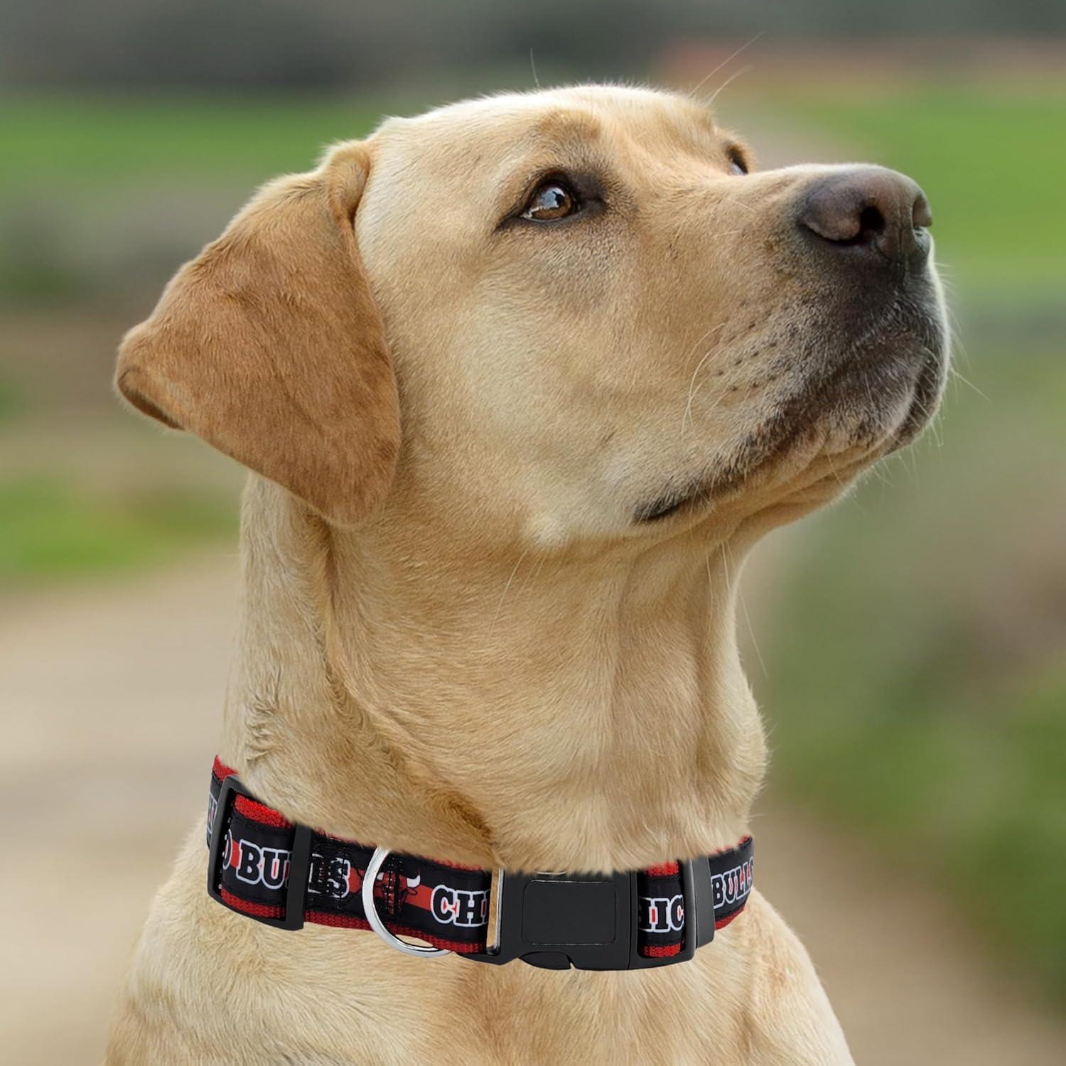 Collar para Mascotas Pets First NBA Chicago Bulls Mediano