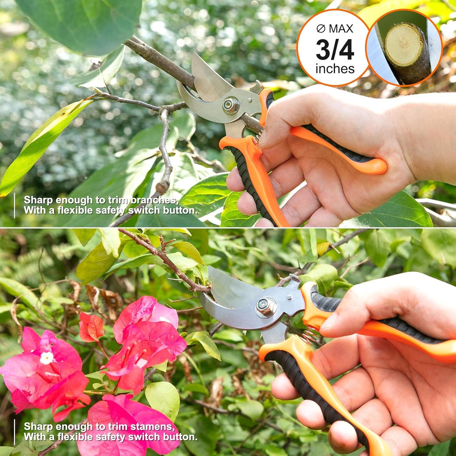 Juego de Herramientas de Jardinería CHRYZTAL 7 en 1 Acero Inoxidable