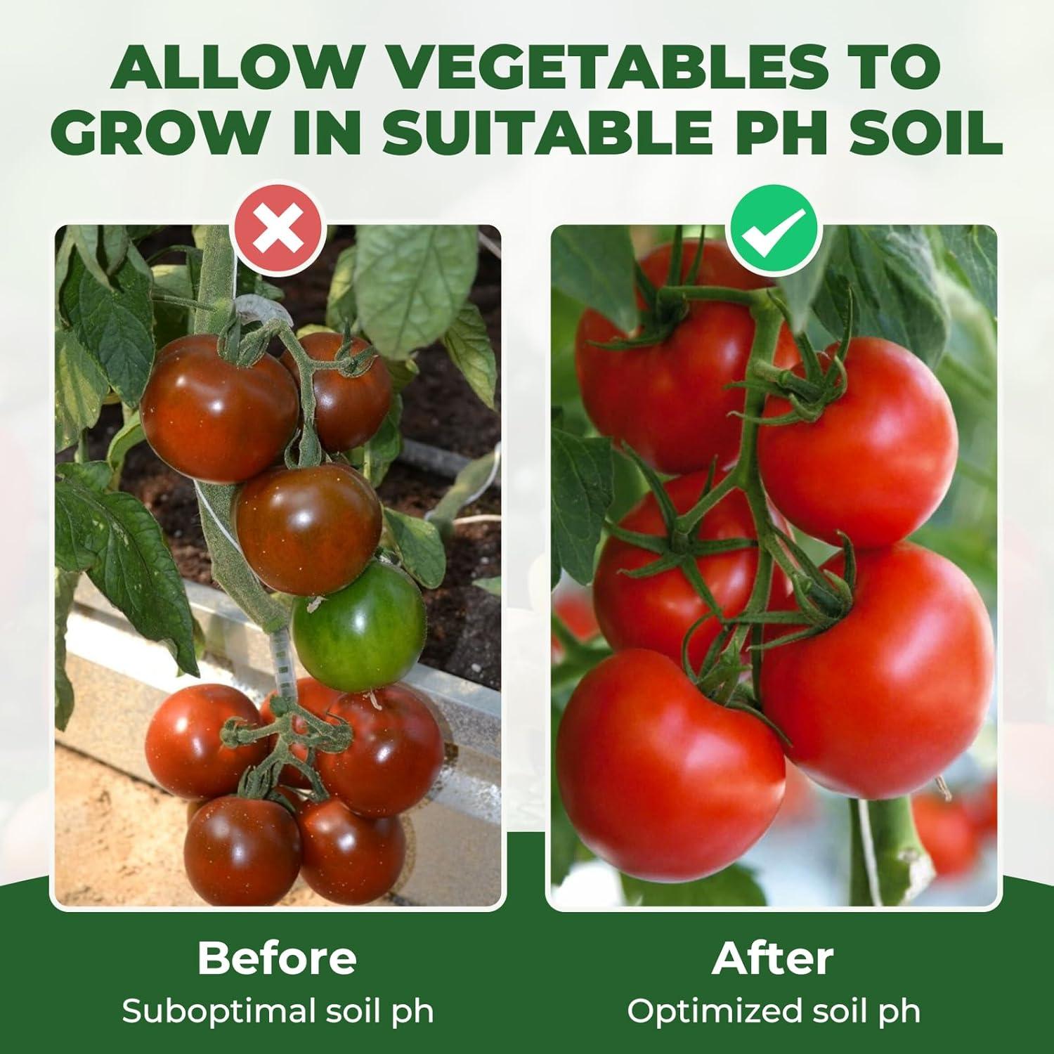 Kit de Prueba de pH del Suelo NewTest 125 Tiras y Cilindros