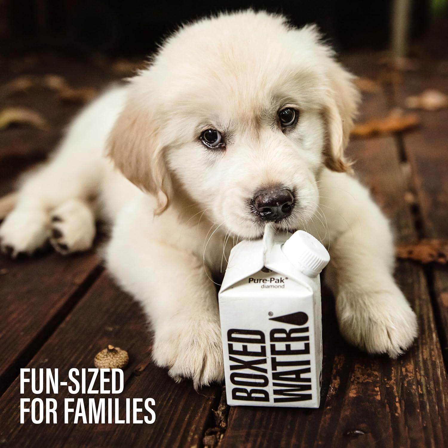 Agua Purificada Boxed Water 24 Paquete 250 ml Sostenible