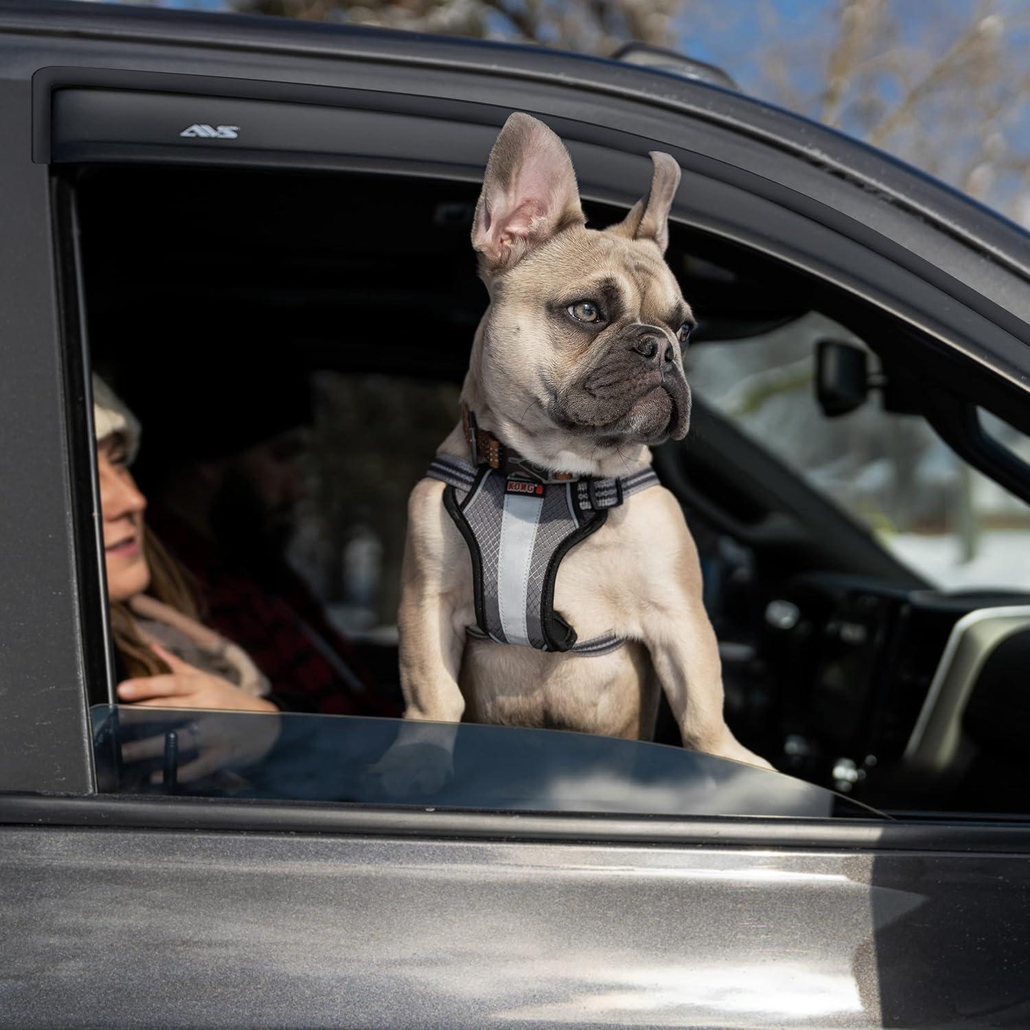 Deflectores de Lluvia Auto Ventshade 94162 para Toyota Venza 2009-2016