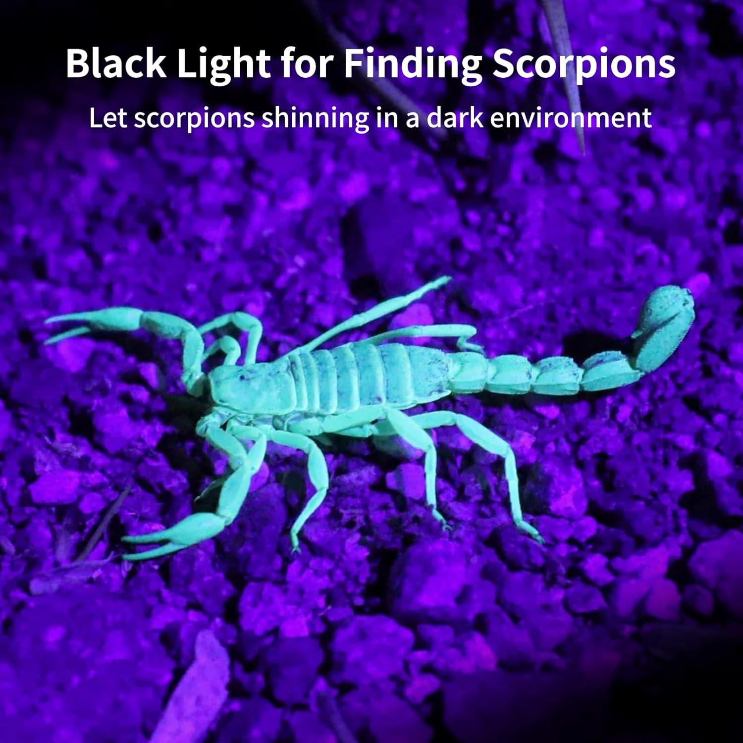 Linterna UV Luz Negra Realhunlee 100 LED 20h 200 Lúmenes