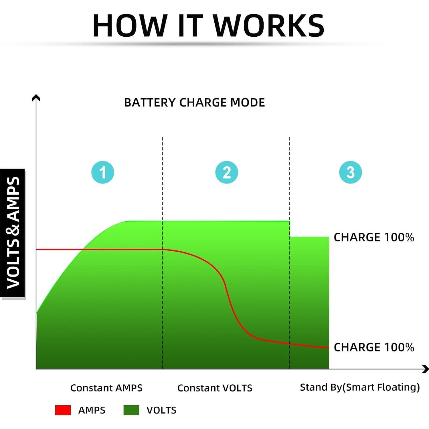 Cargador de Batería 36V 20AMP CAPTOK Impermeable para Carritos