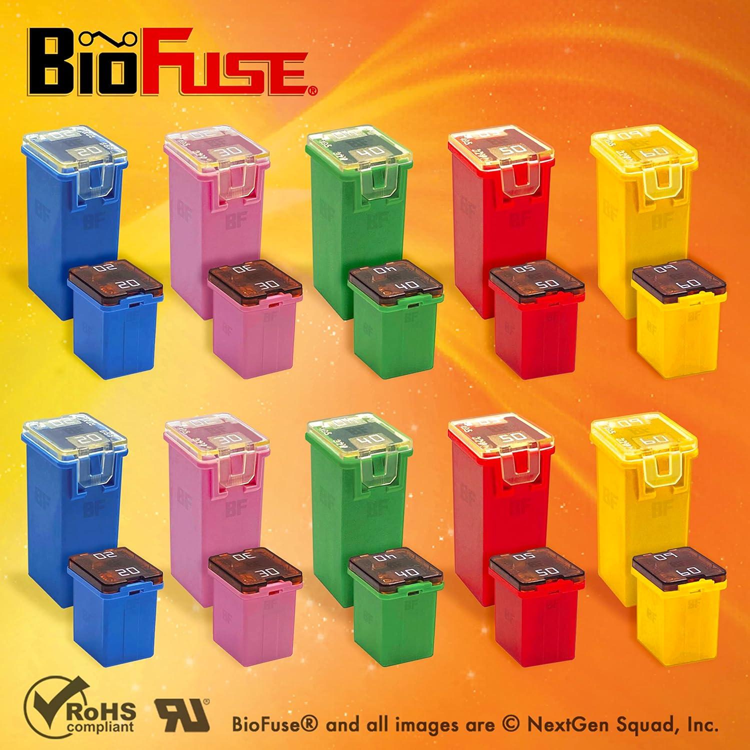 Juego de Fusibles JCASE y LP 20 Piezas 20A a 60A BioFuse
