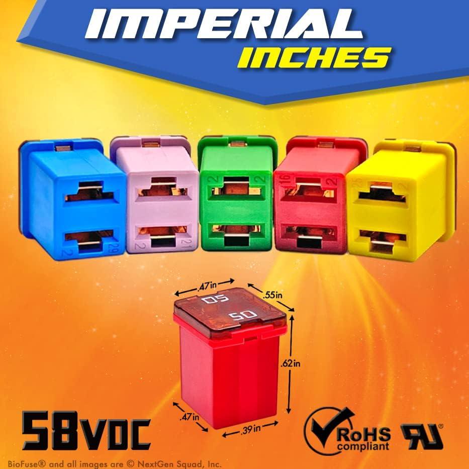 Juego de Fusibles JCASE y LP 20 Piezas 20A a 60A BioFuse