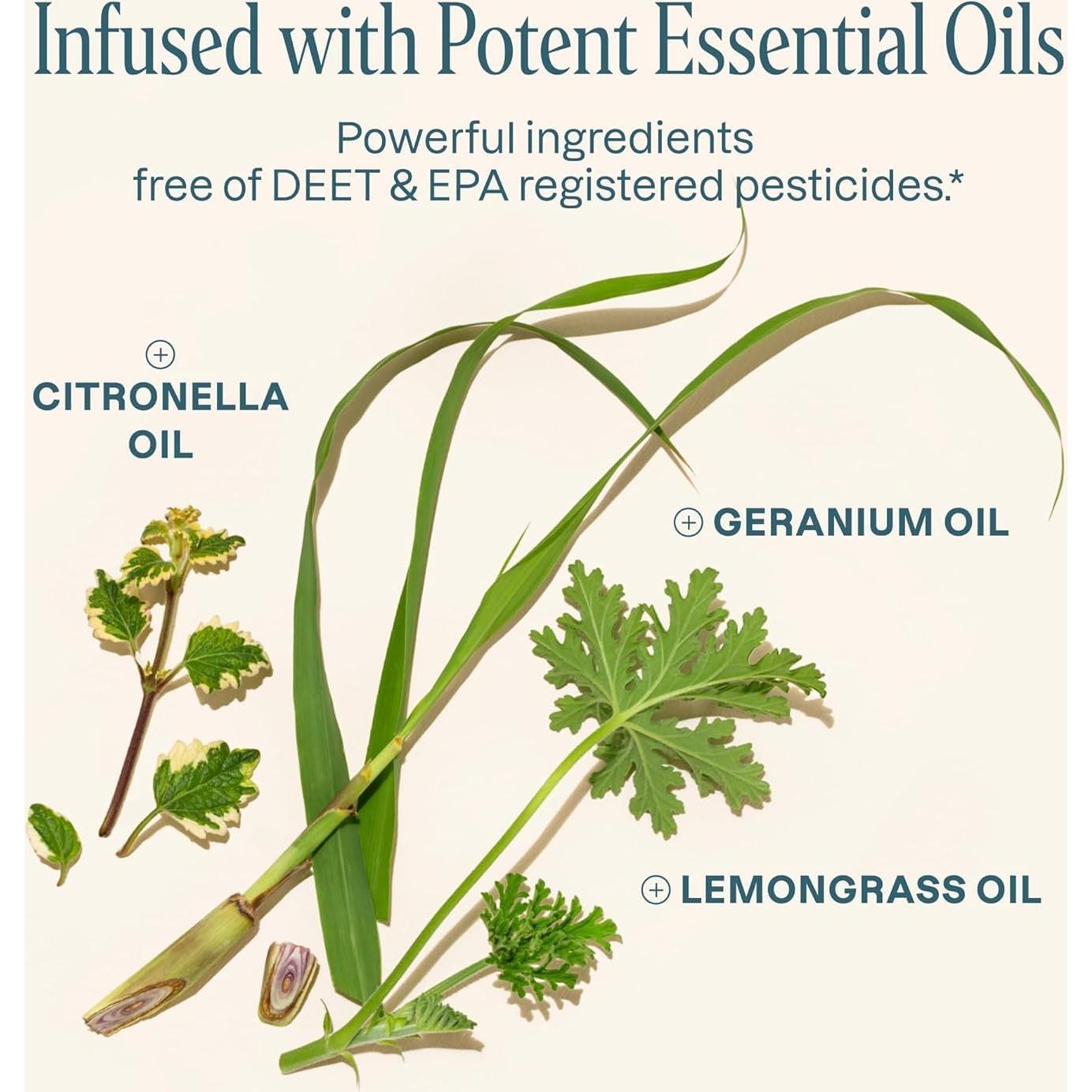 Cliganic Paquete de 10 Pulseras Repelentes Sin DEET