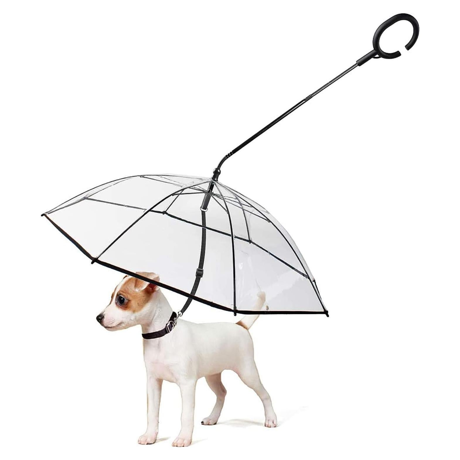 Paraguas para Perros LESYPET con Correa Ajustable 44x12cm