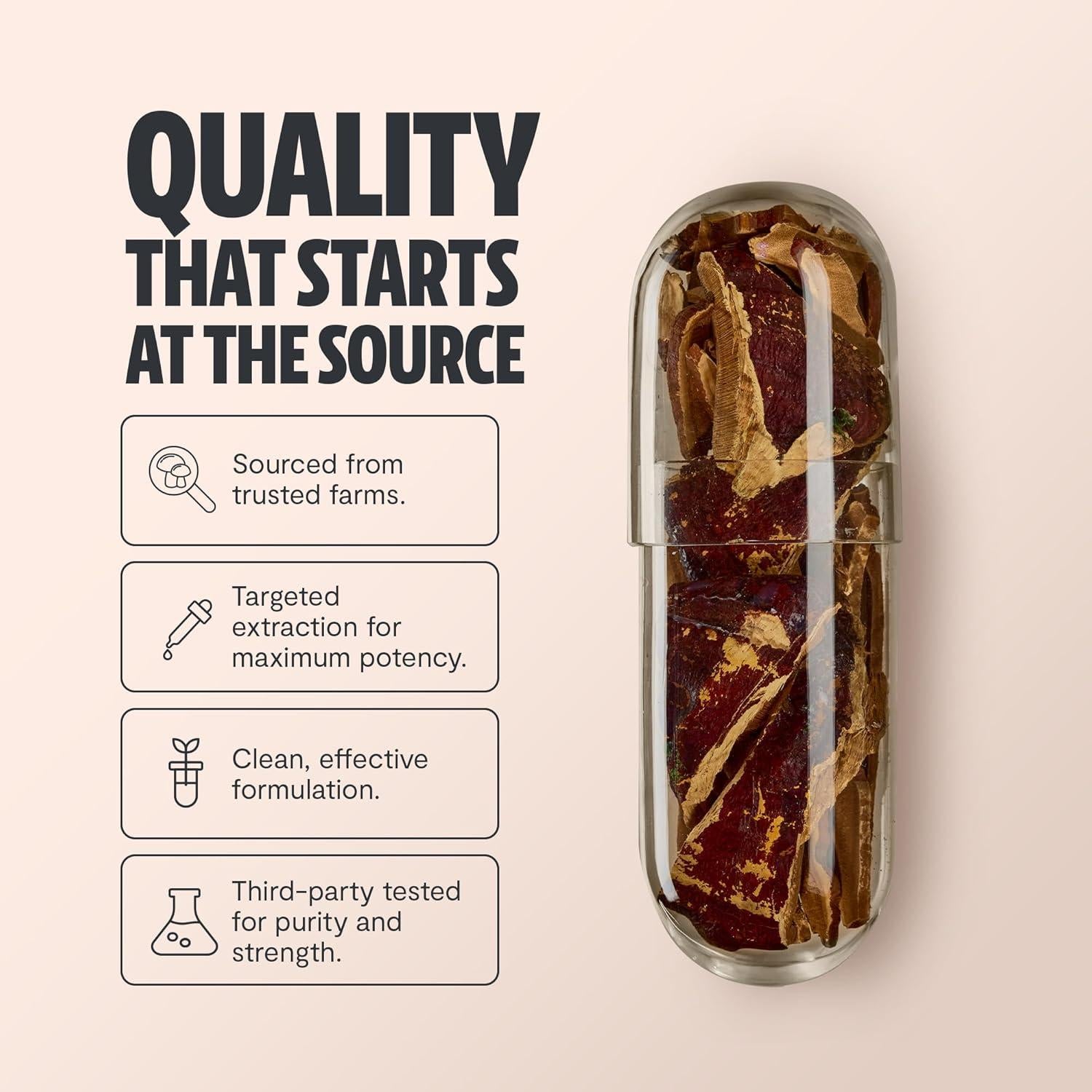 Suplemento de Champiñón Reishi FreshCap 14,000mg - 120 Cápsulas