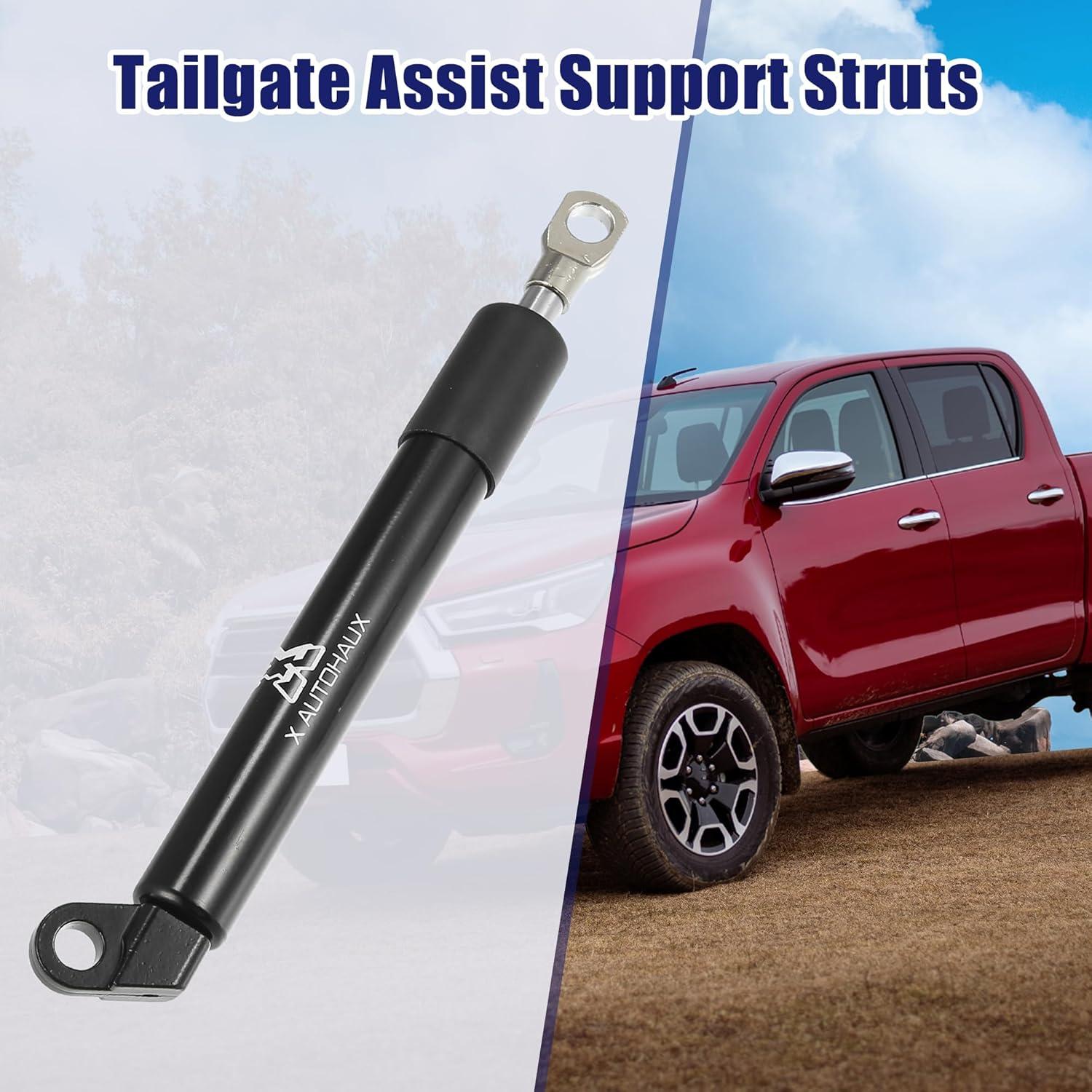 Amortiguador de Puerta Trasera Toyota Hilux X AUTOHAUX 2005-2015