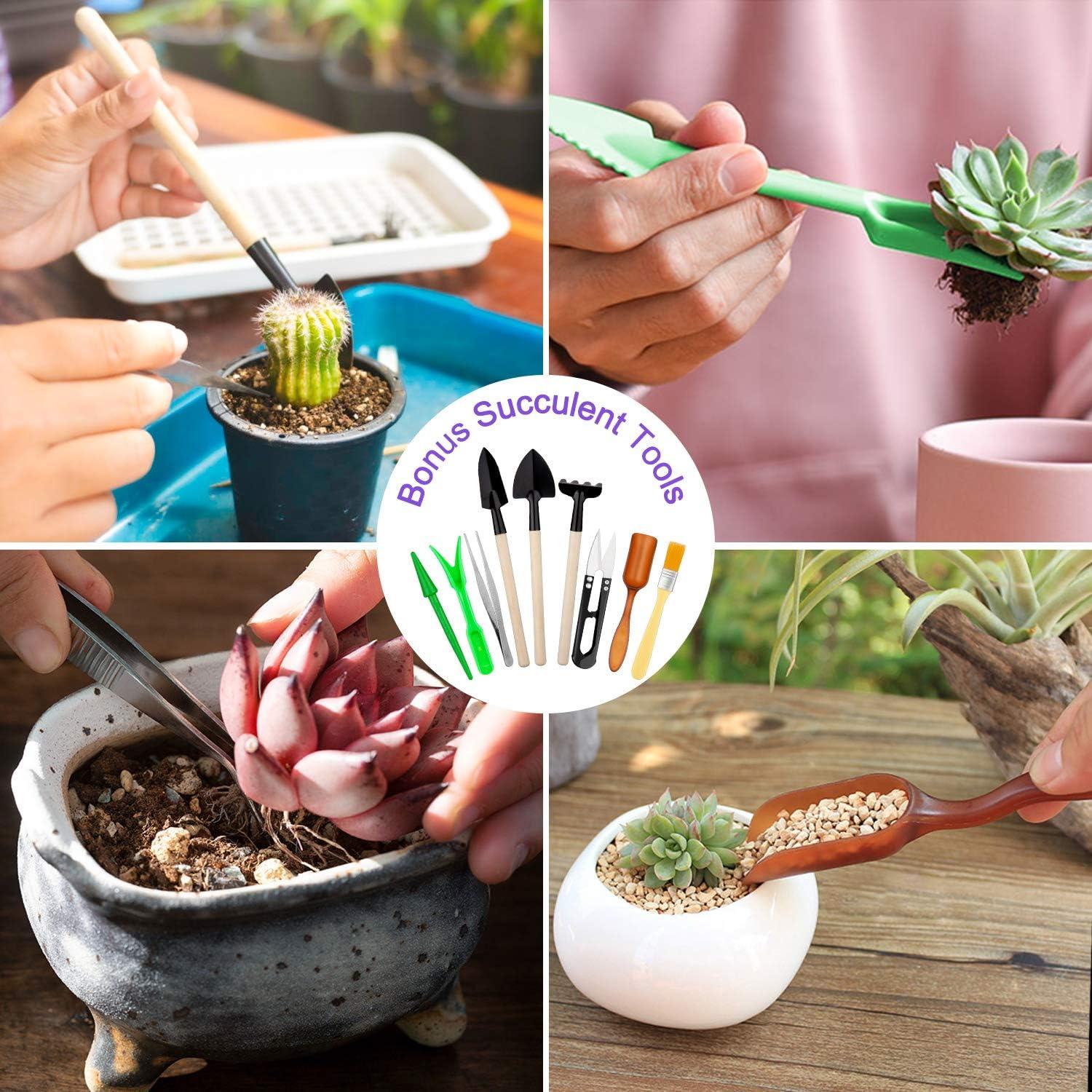 Juego de Herramientas de Jardín Tudoccy 83 Piezas Ergonómico