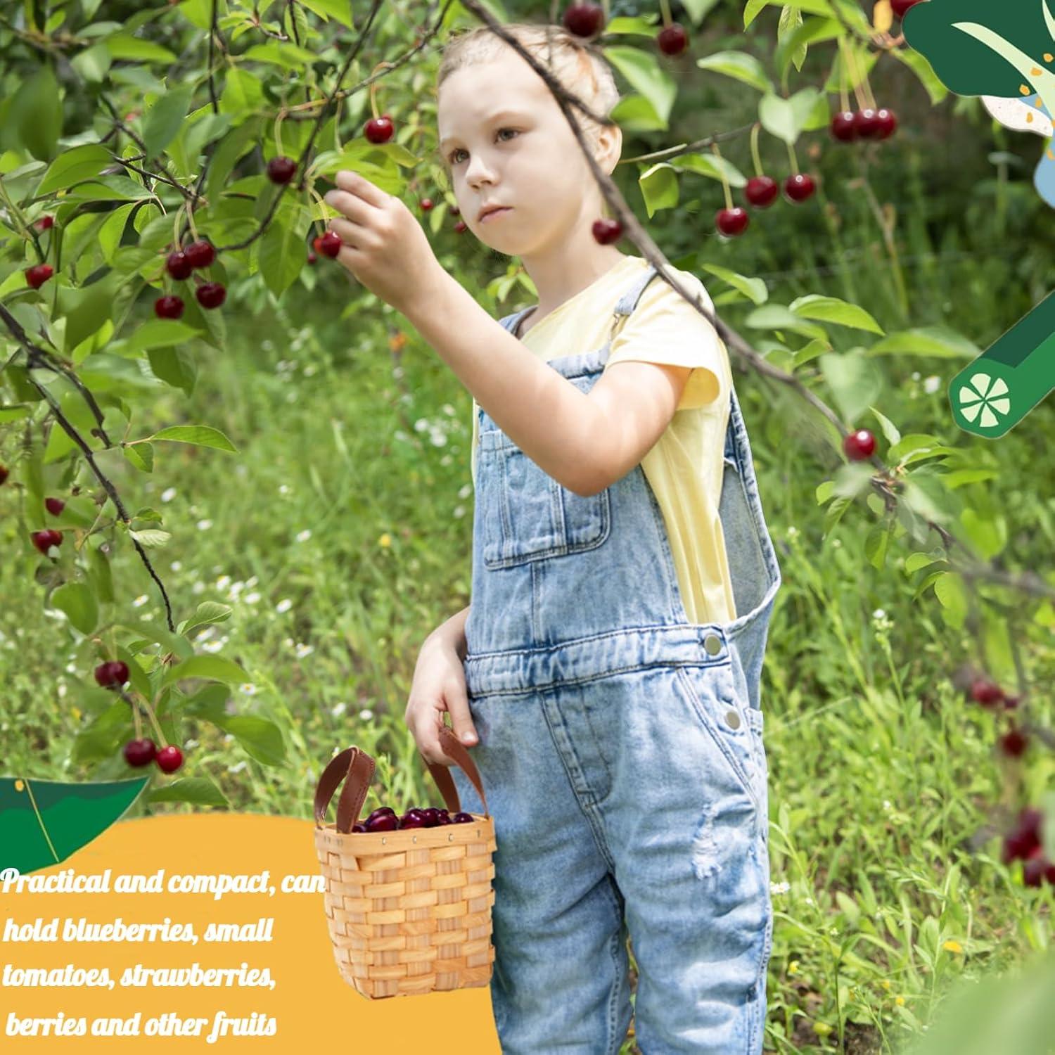 Cestas de Mimbre ZOOFOX 6 Piezas 10 cm Cuadradas