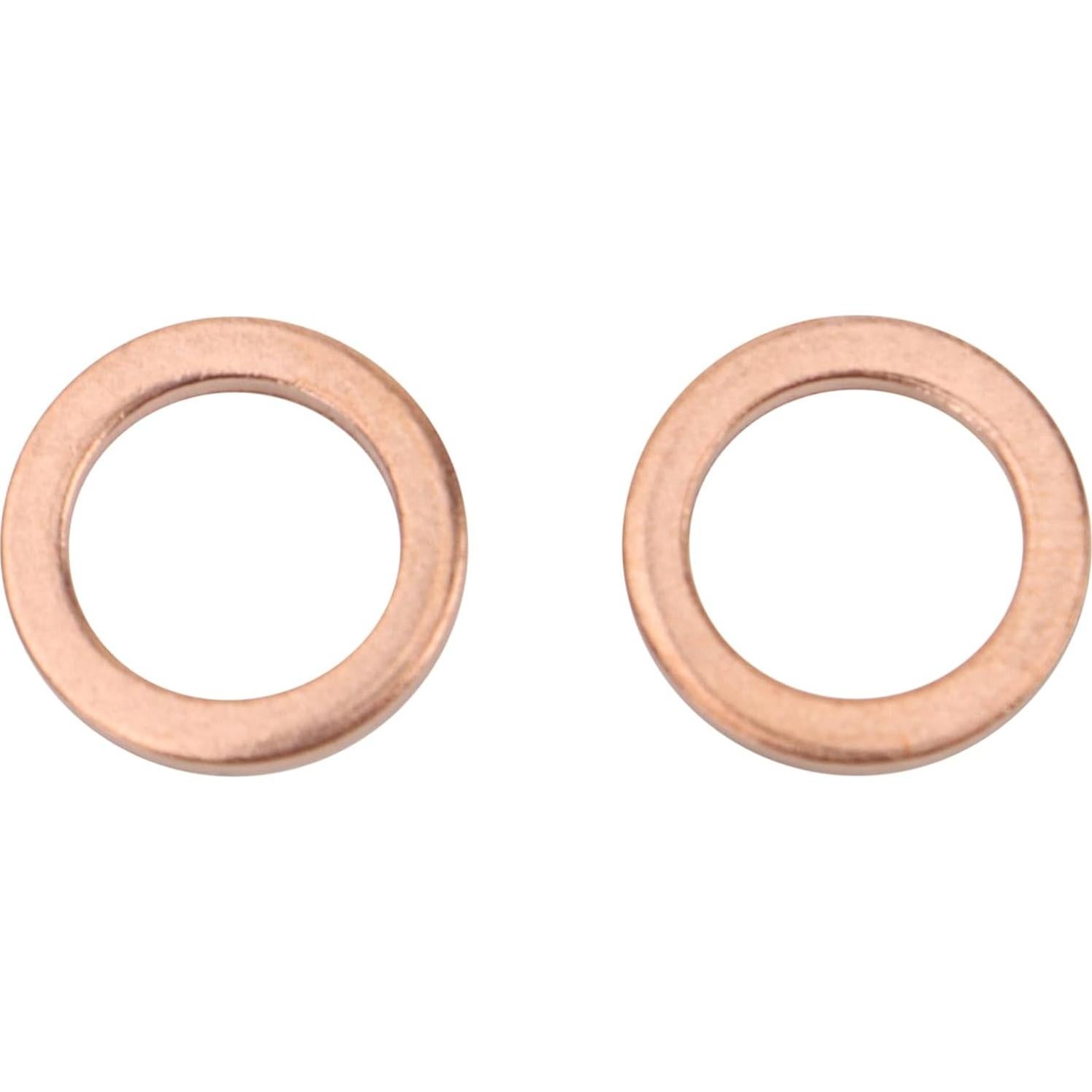 Juego de Mangueras de Freno TRQ Acero Inoxidable 2 Piezas