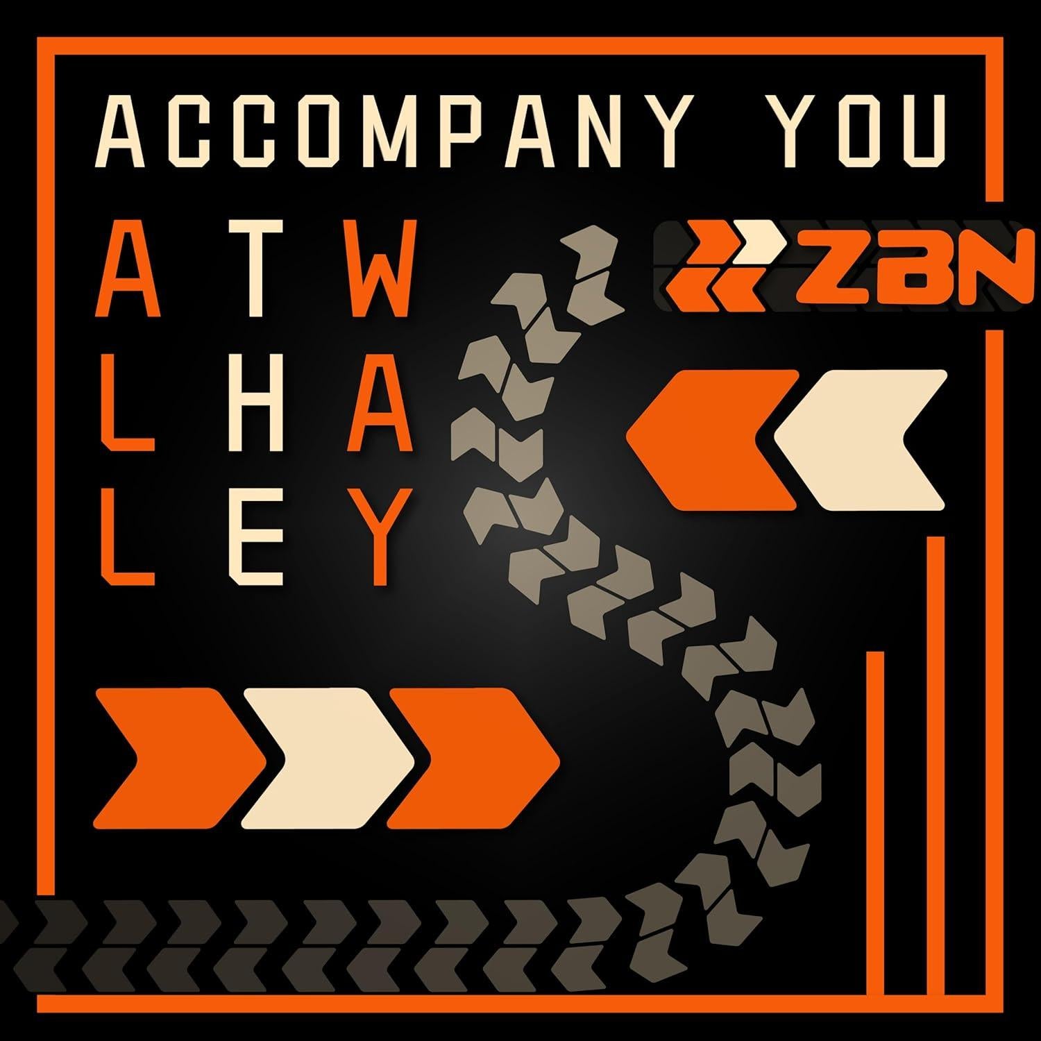 Válvula de Control de Aceite VVT ZBN 917-020 para Toyota