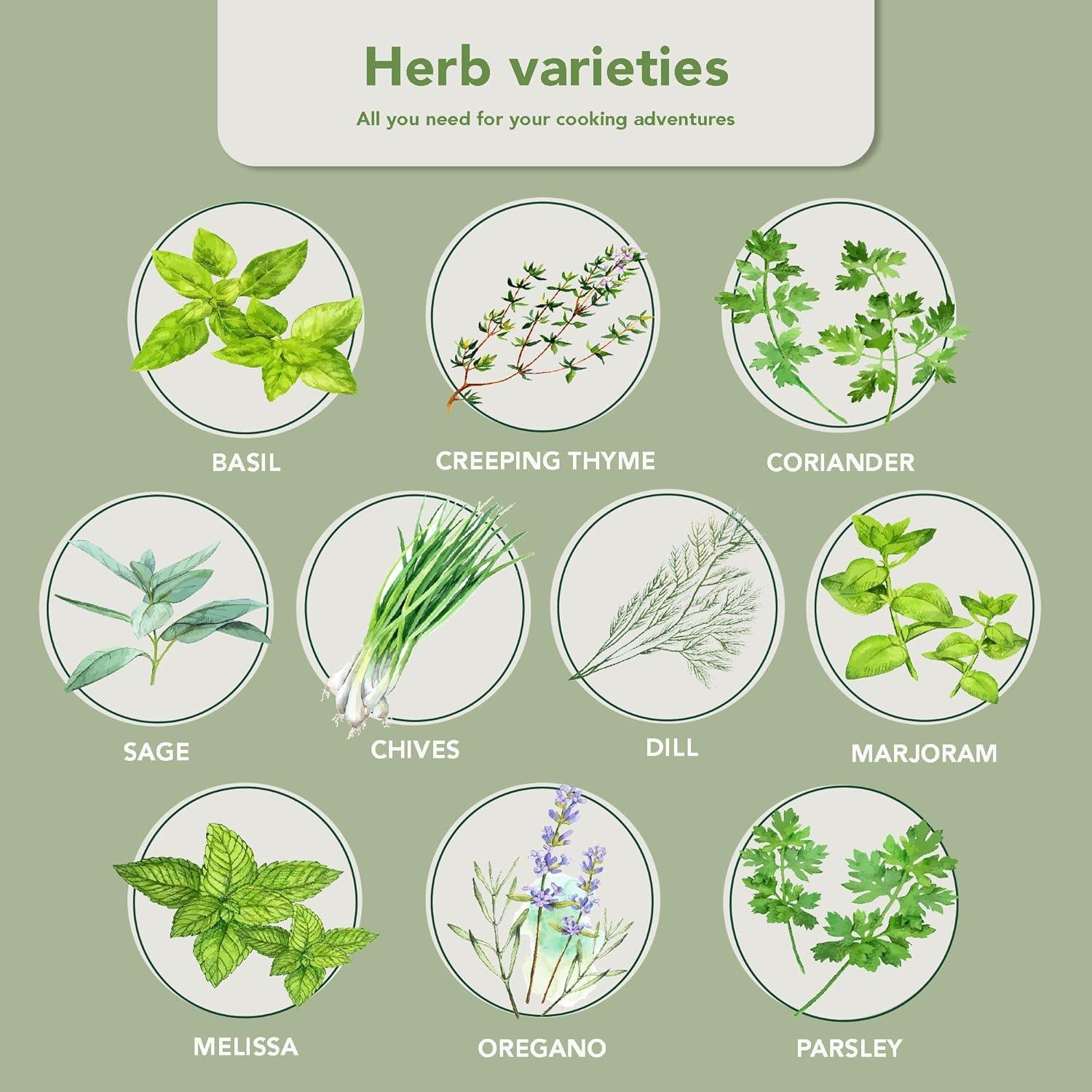 Kit de Jardín de Hierbas 10 Especies - Macetas y Suelo