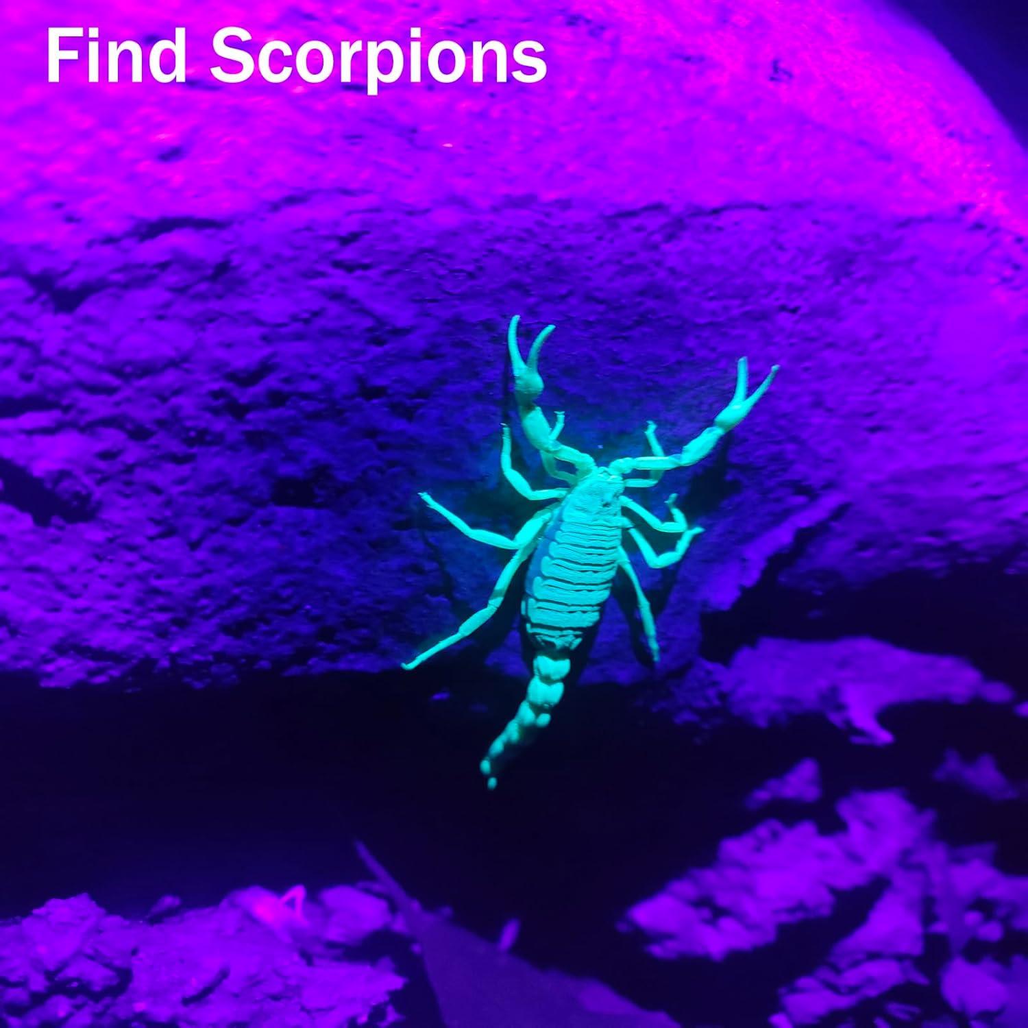 Linterna UV HSXMN 365nm 395nm Detección de Manchas Mascotas