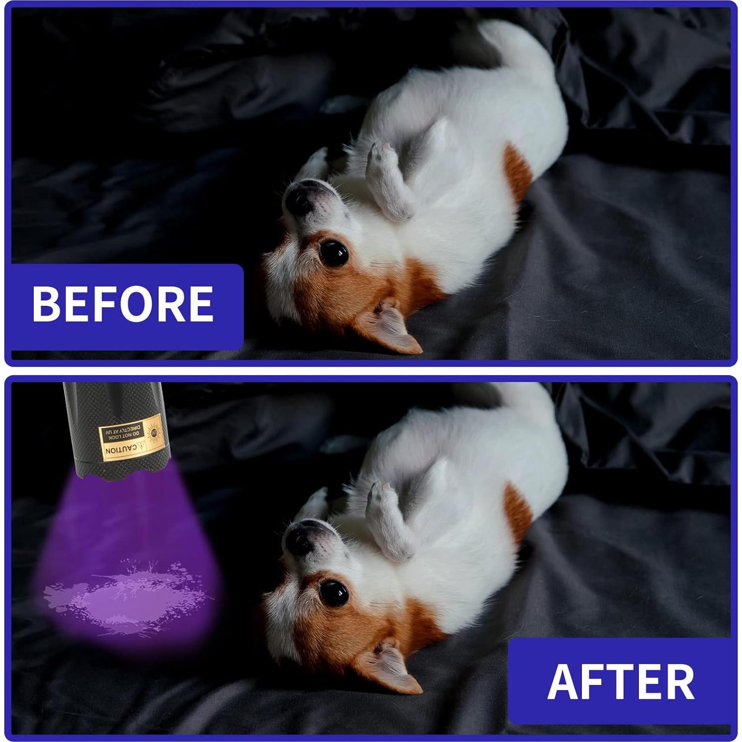 Linterna UV HSXMN 365nm 395nm Detección de Manchas Mascotas