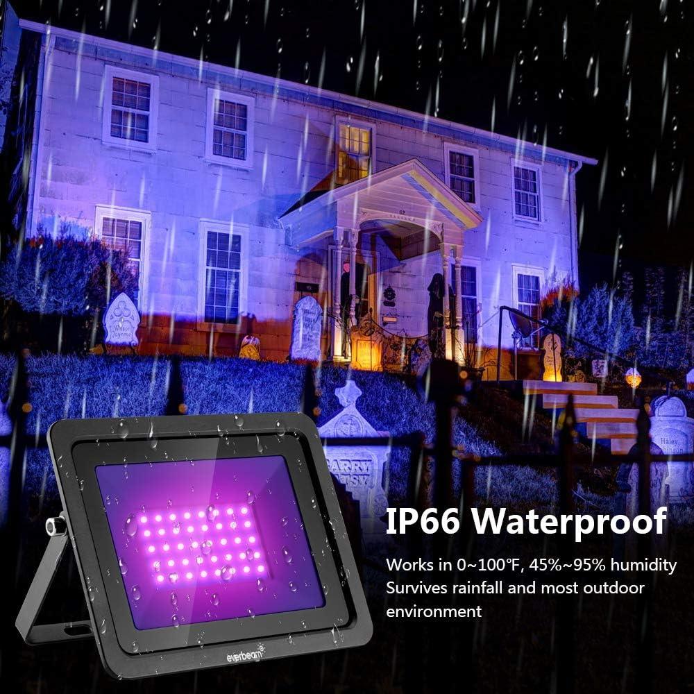 Luz UV LED 50W Everbeam 365nm Impermeable IP66