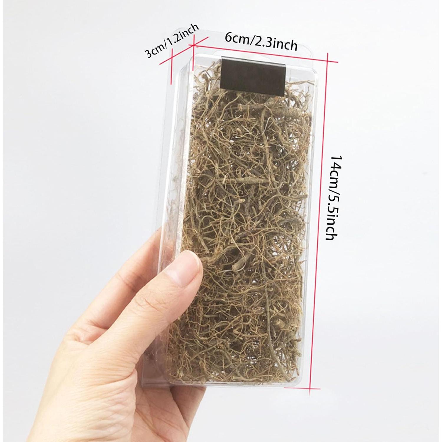 Raíz de Vid en Miniatura Woohome para Dioramas y Jardines