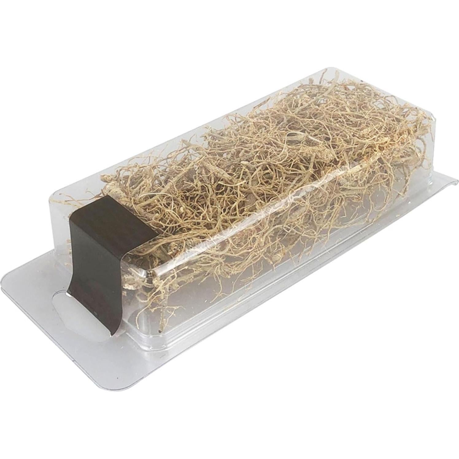 Raíz de Vid en Miniatura Woohome para Dioramas y Jardines