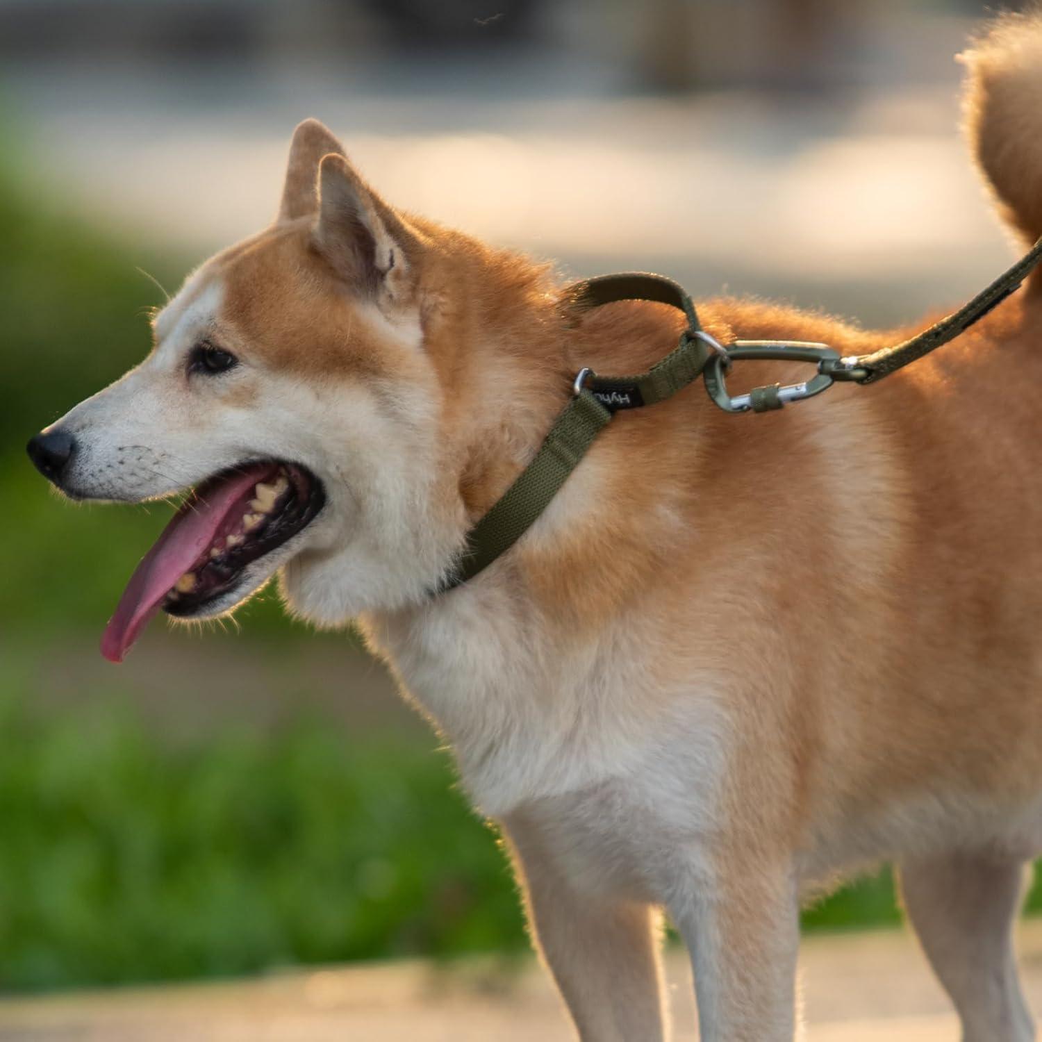 Collar Martingale Nylon Antiescape Hyhug Verde Militar Pequeño