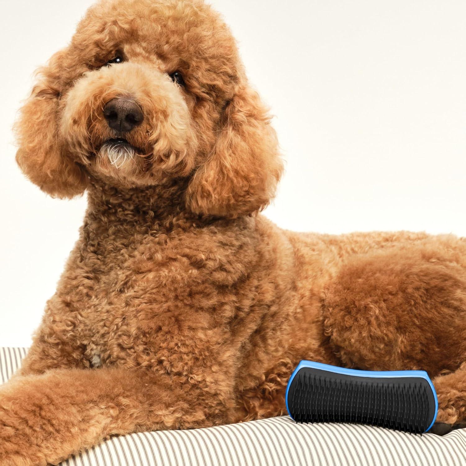 Cepillo Desenredante Grande Tangle Teezer Azul y Gris