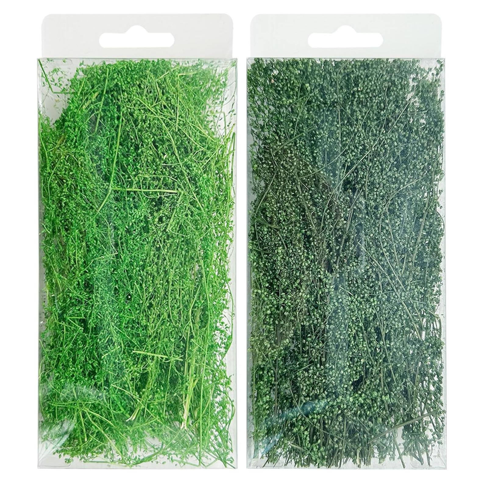 Arbustos en Miniatura Woohome 2 Colores para Paisajismo