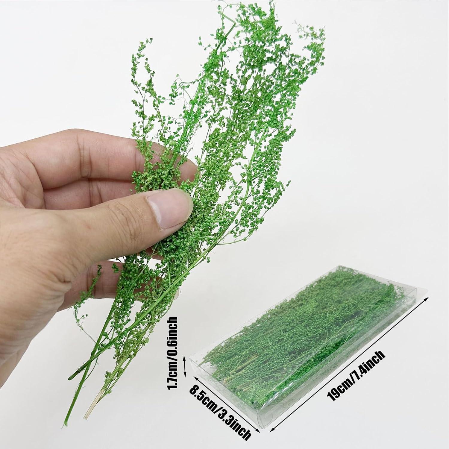 Arbustos en Miniatura Woohome 2 Colores para Paisajismo