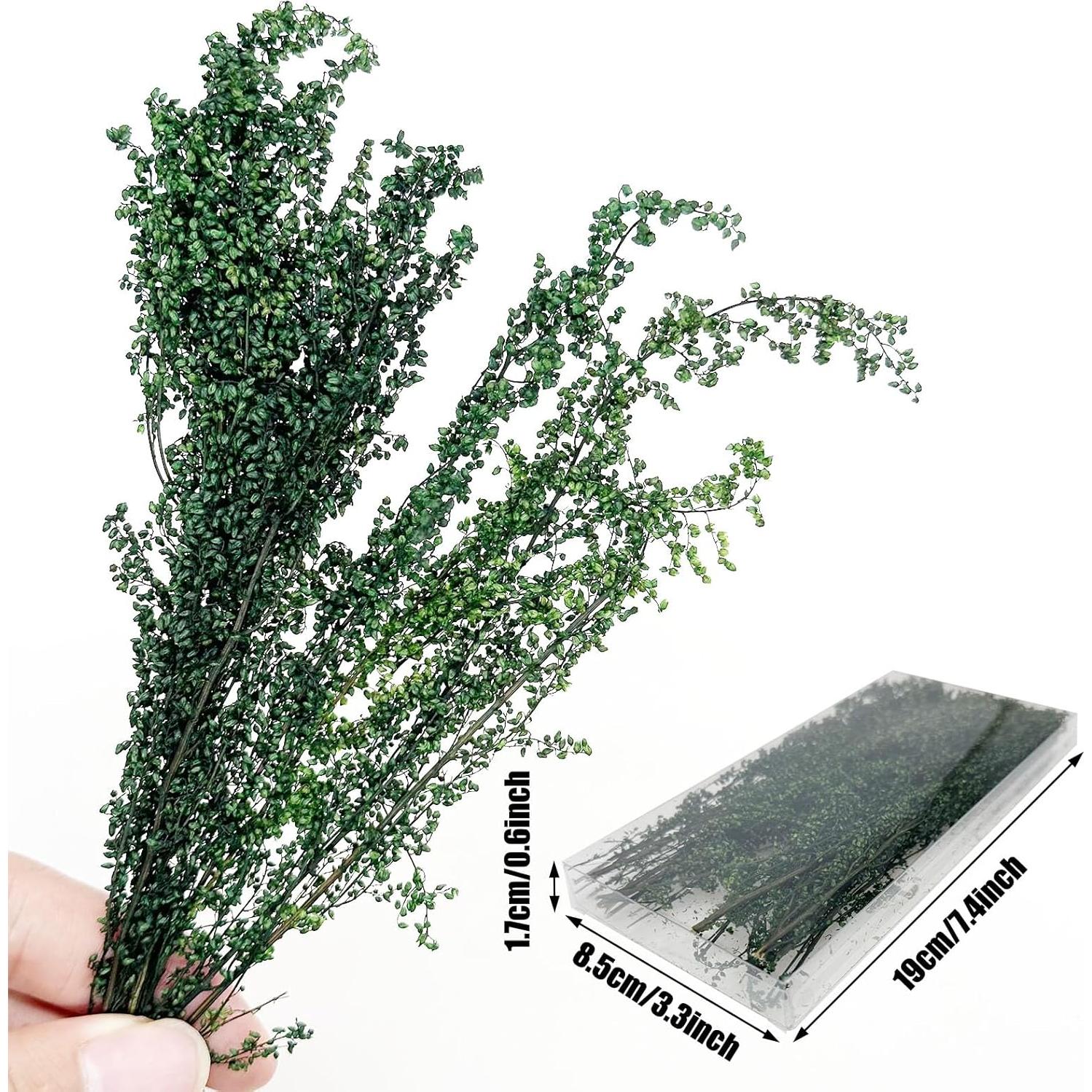 Arbustos en Miniatura Woohome 2 Colores para Paisajismo