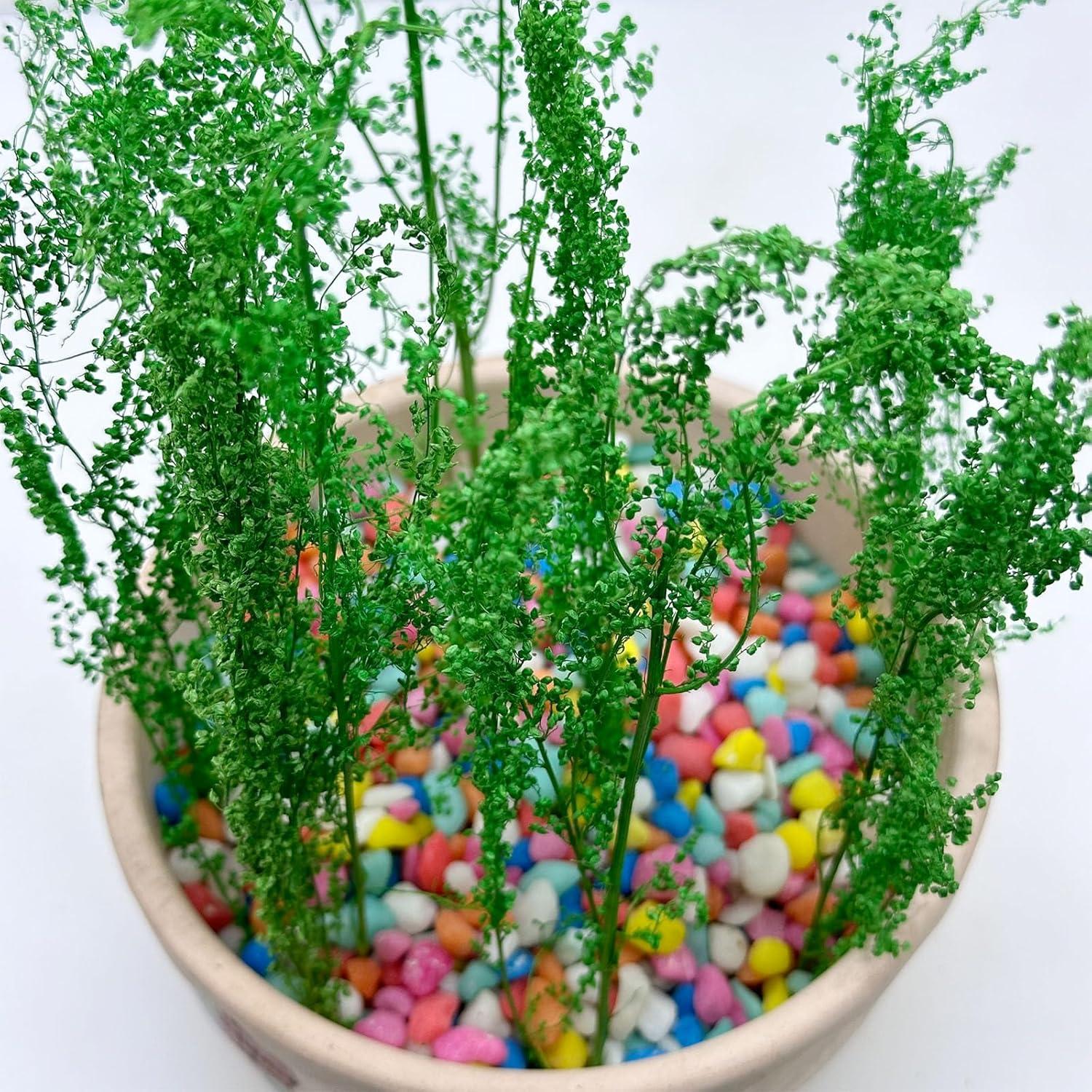 Arbustos en Miniatura Woohome 2 Colores para Paisajismo