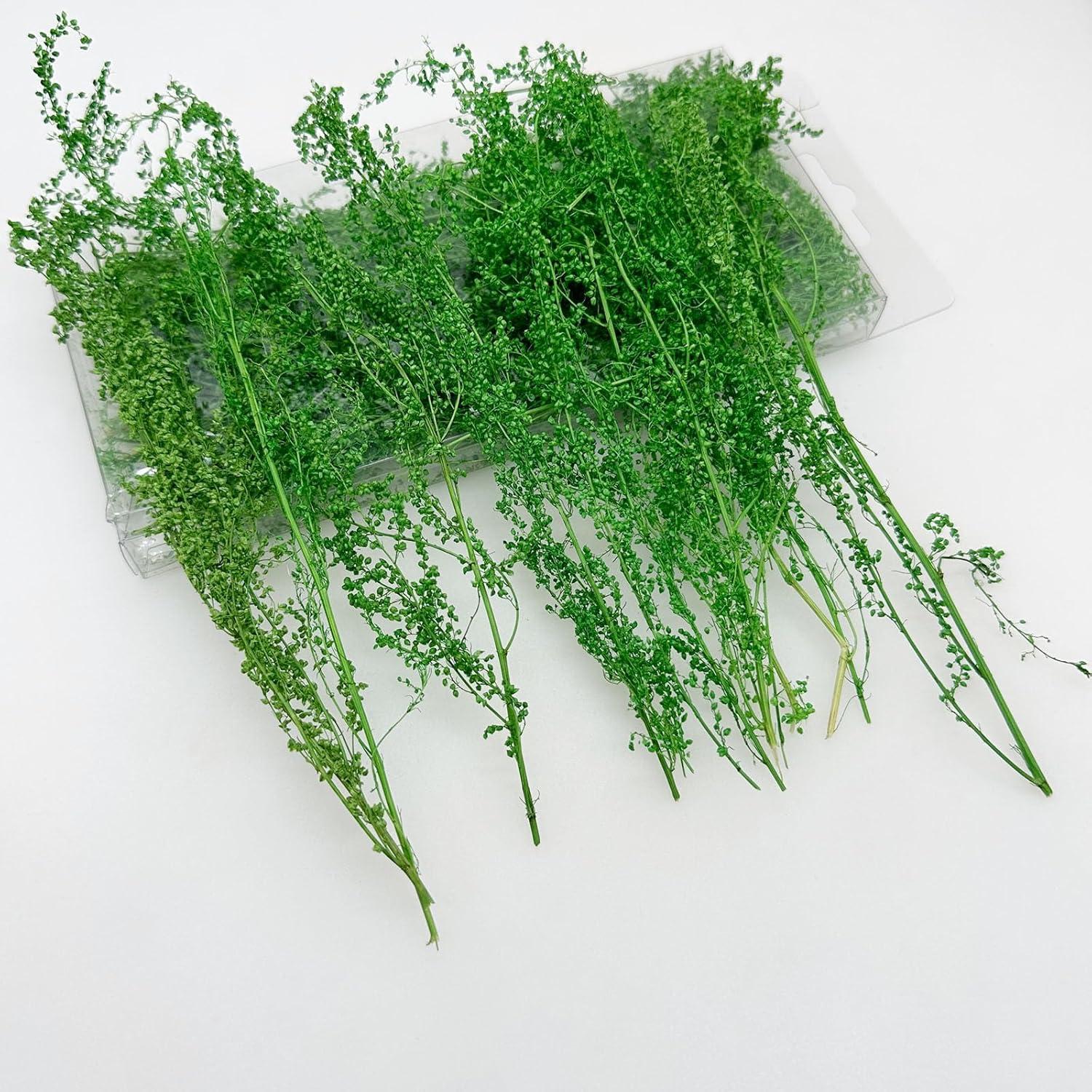 Arbustos en Miniatura Woohome 2 Colores para Paisajismo