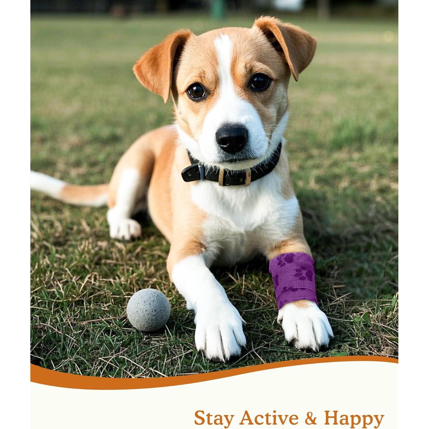 Venda Autoadhesiva para Mascotas FriPuP 2" 8 Rollos Patita Amanecer