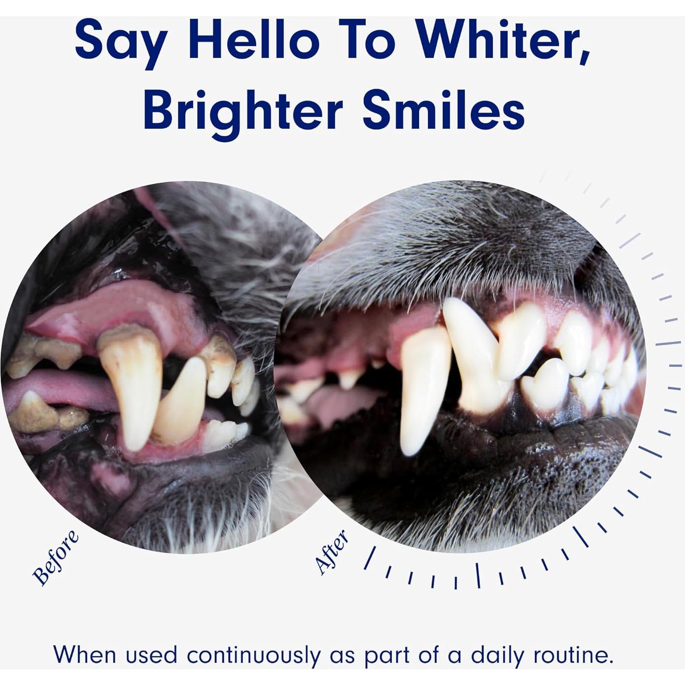 Aditivo Dental para Perros PetLab Co. 236 ml - Aliento Fresco y Dientes Limpios