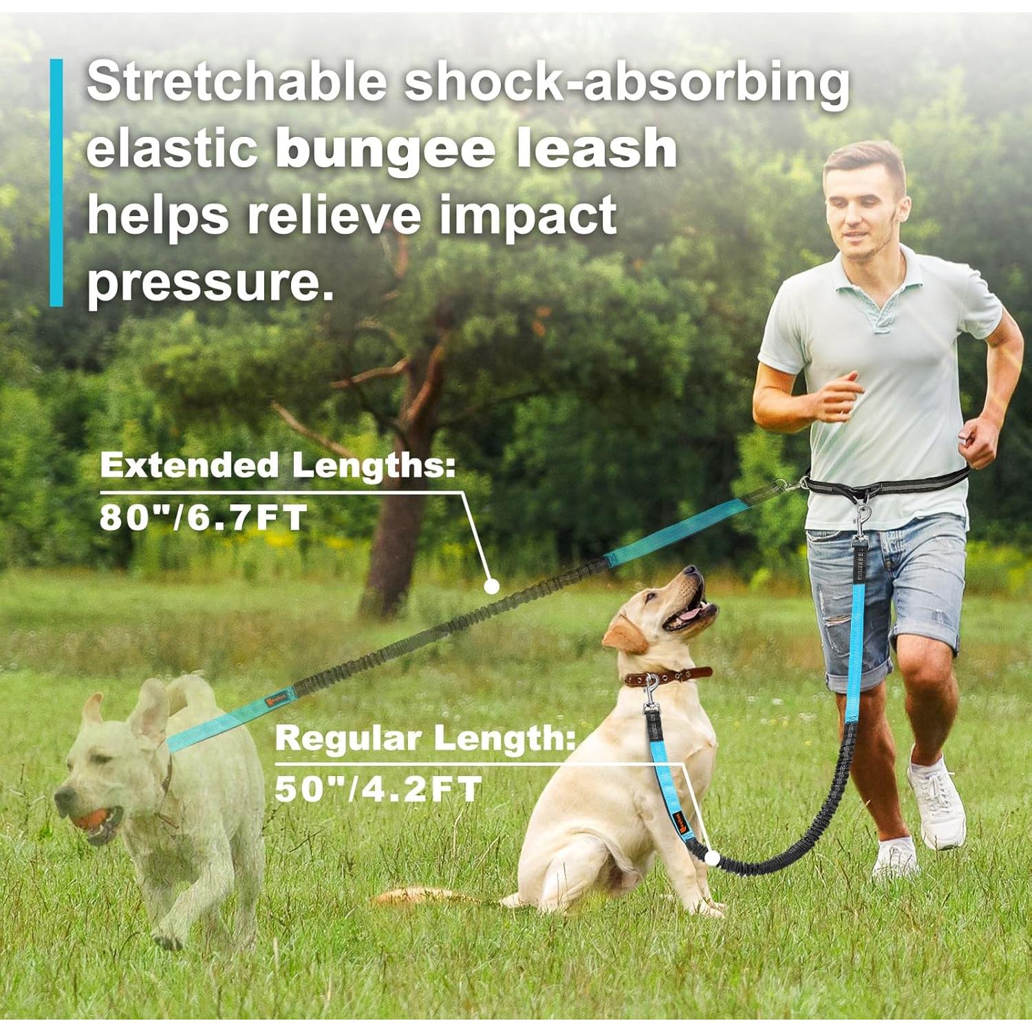 Correa para Perros Manos Libres Laqibak Ajustable 1.28-2.04m