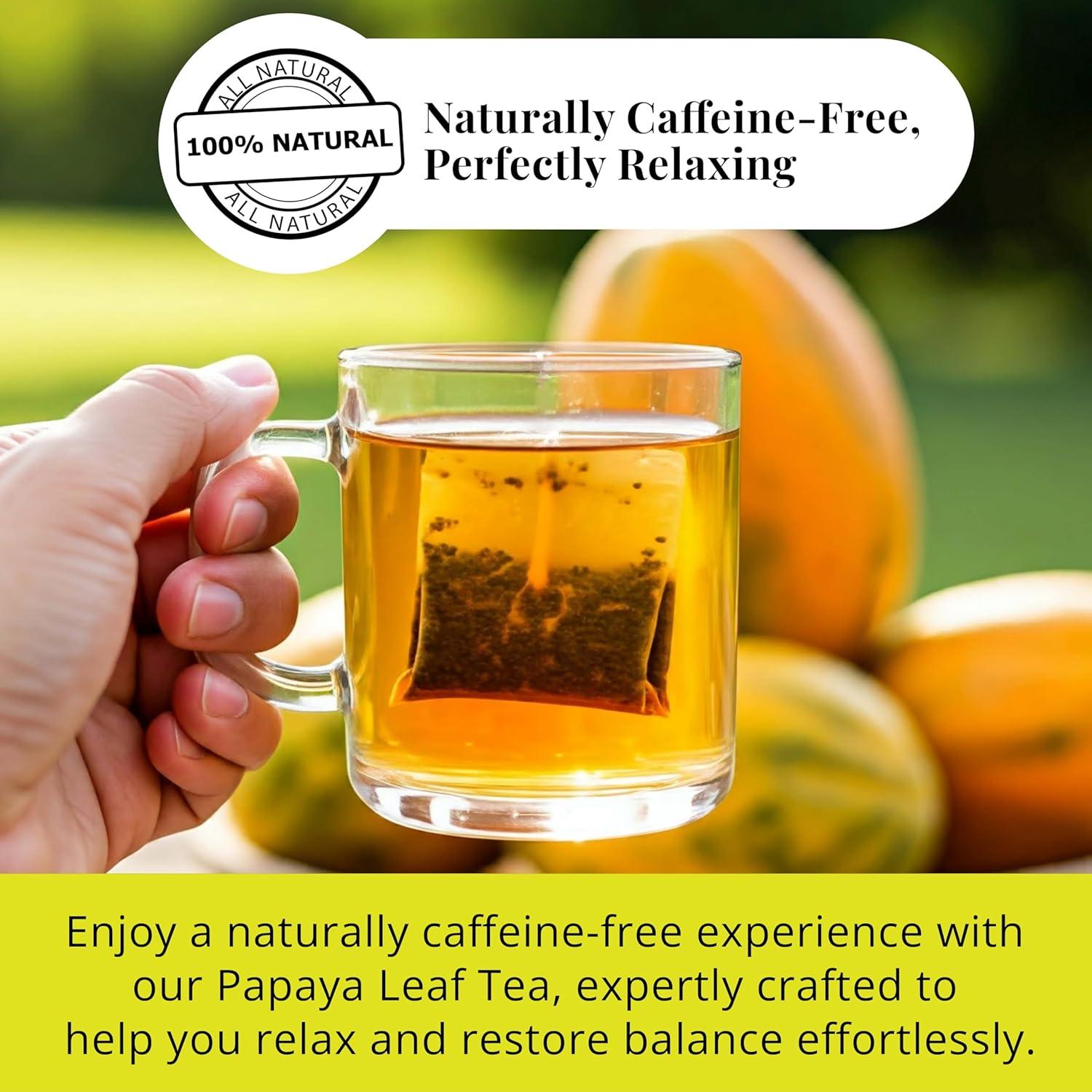 Té de Hoja de Papaya Akshit, 150 Bolsitas, 100% Natural