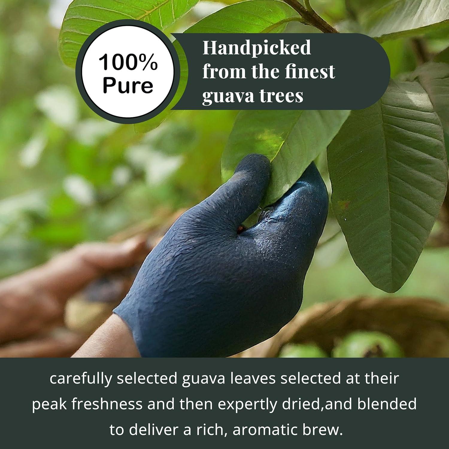 Té de Hojas de Guayaba Akshit 150 Bolsitas 100% Natural