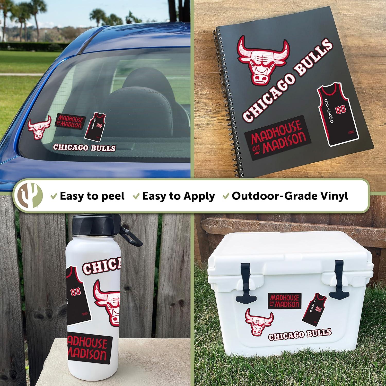 Calcomanía Chicago Bulls Desert Cactus NBA Vinilo 27.9x21.6cm