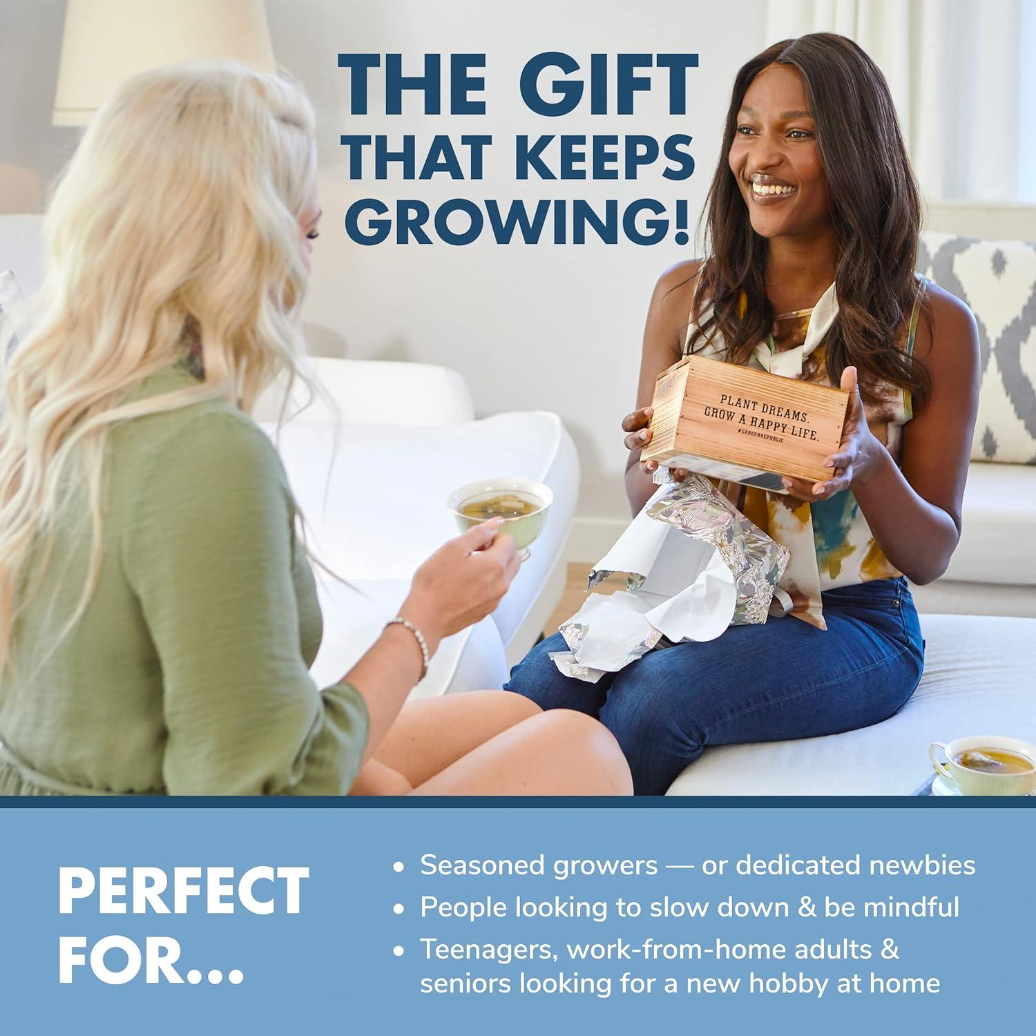 Kit de Inicio Bonsai Garden Republic - 4 Semillas, Tijeras, Tierra