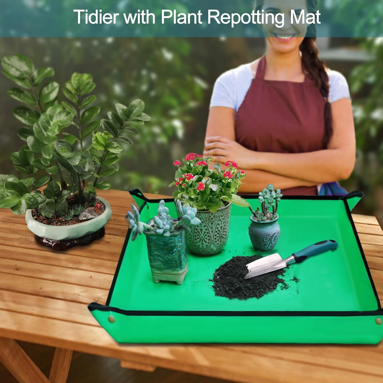 Juego de Herramientas de Jardín Kynup 7 Piezas Acero Inoxidable