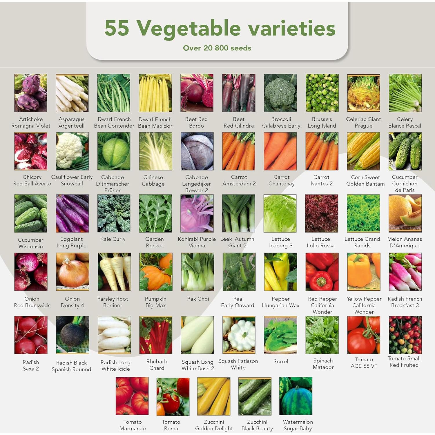 Kit de Jardinería Garden Pack - 75 Semillas de Flores y Verduras