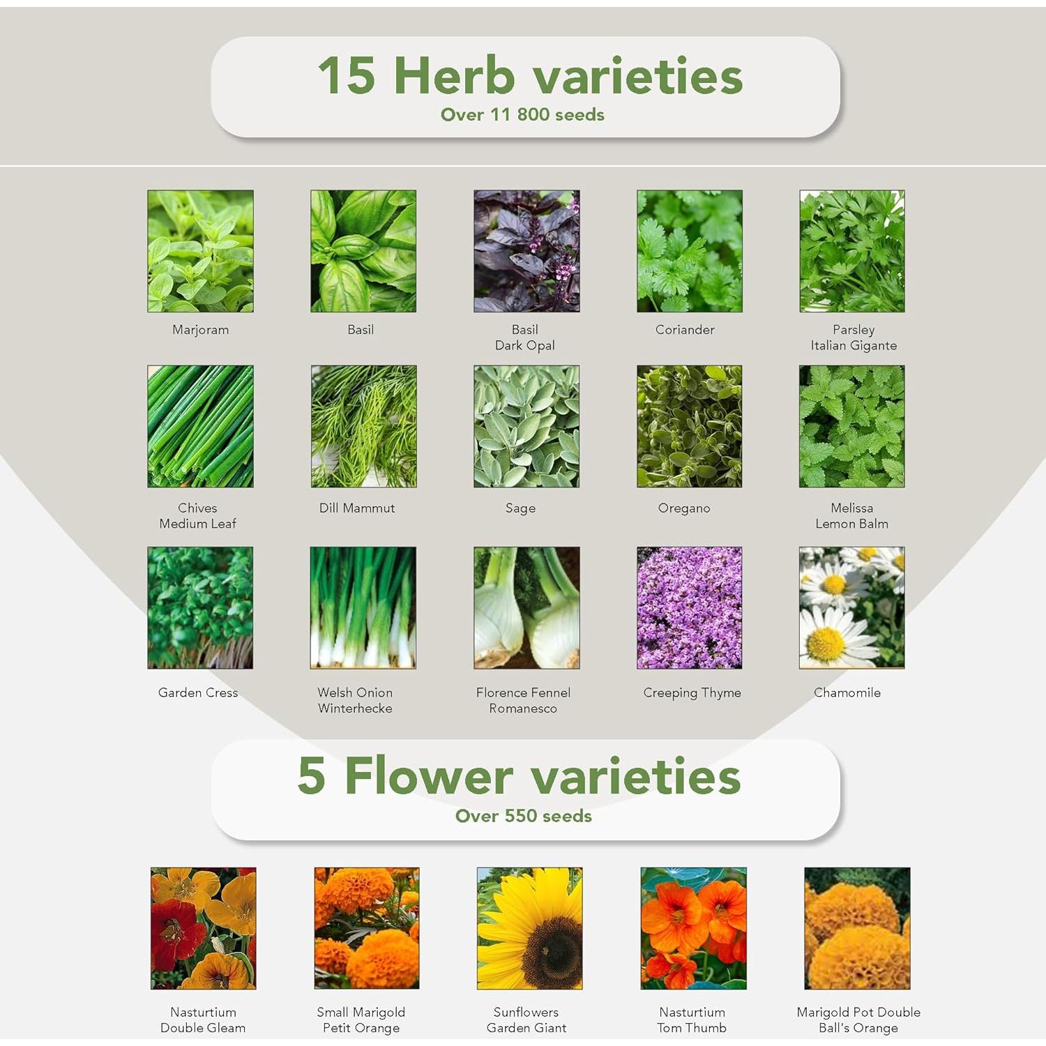 Kit de Jardinería Garden Pack - 75 Semillas de Flores y Verduras