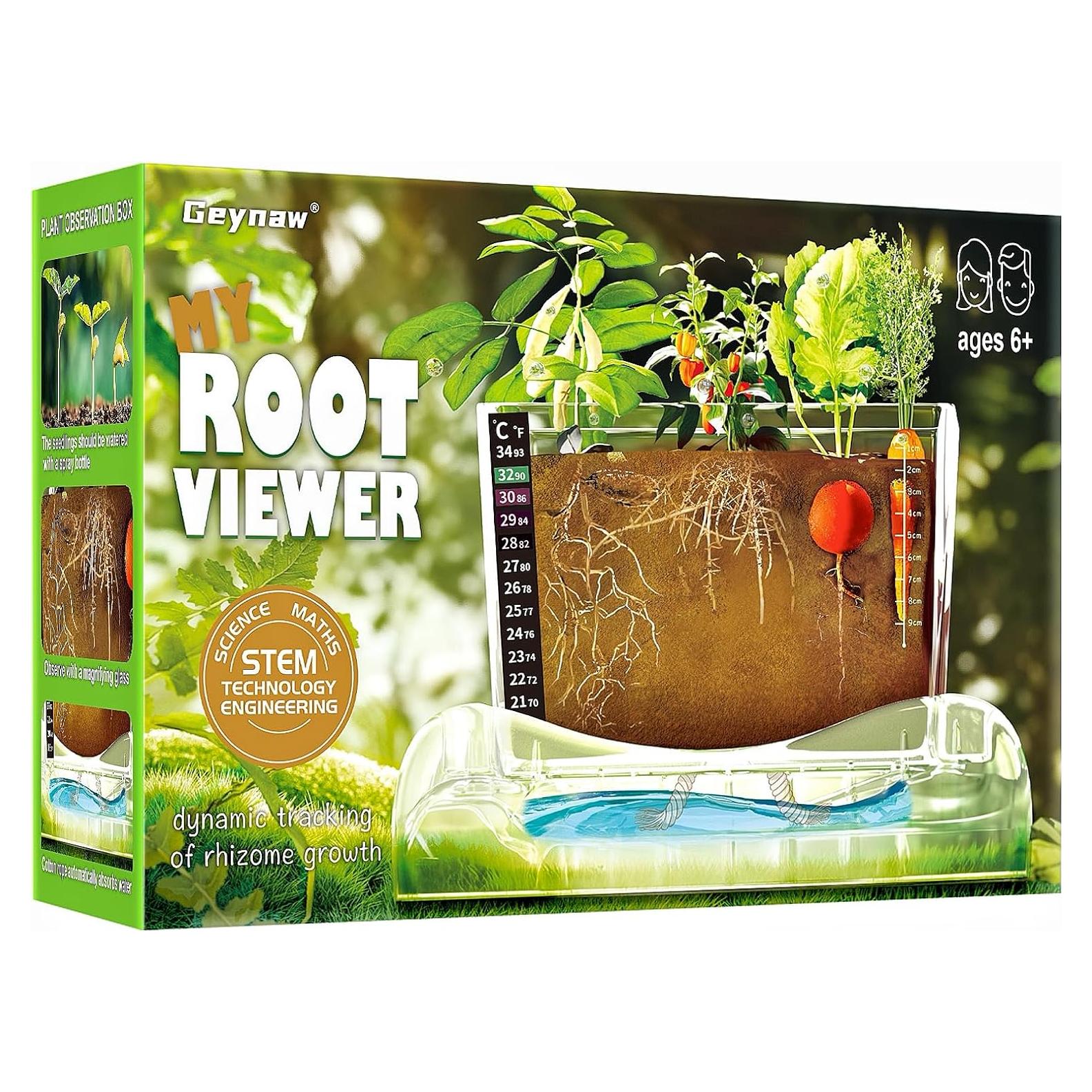 Kit de Observación de Raíces Geynaw - Jardín Infantil 15 Piezas