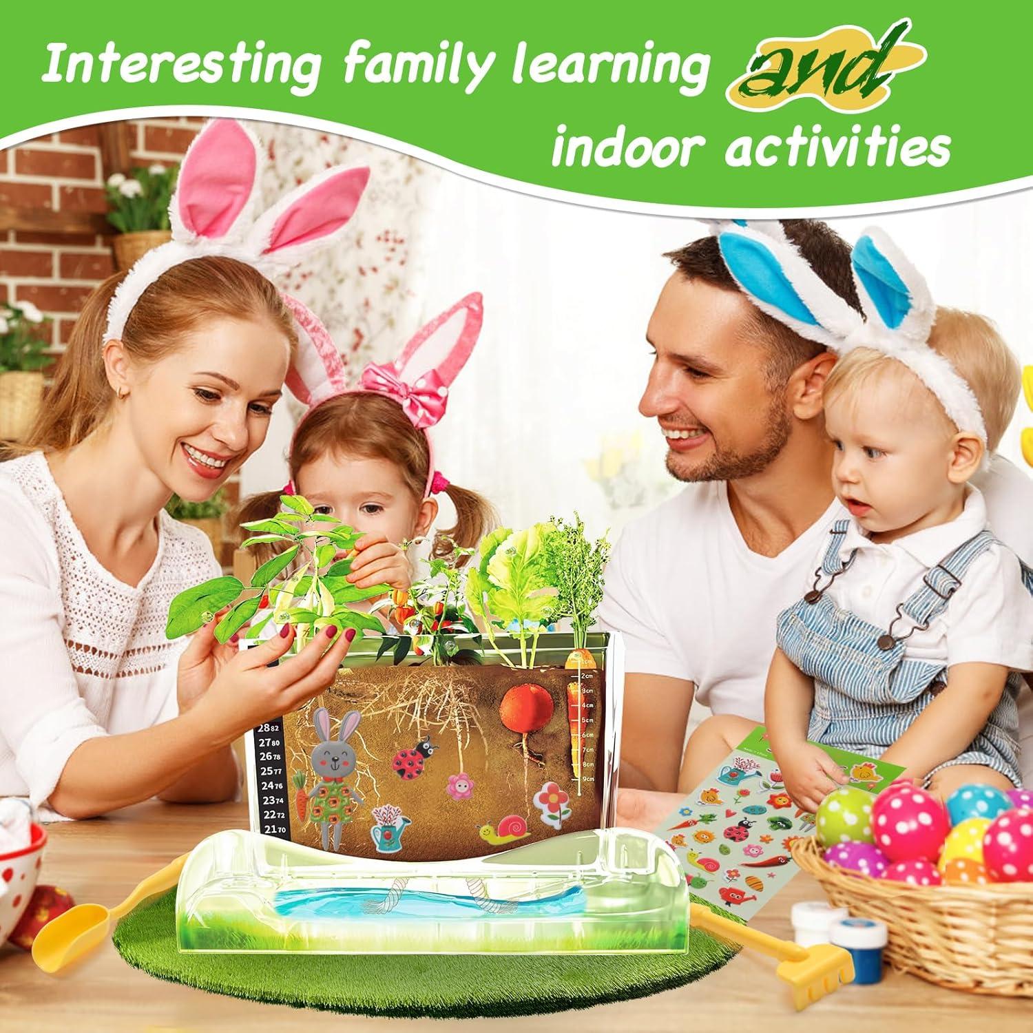 Kit de Observación de Raíces Geynaw - Jardín Infantil 15 Piezas