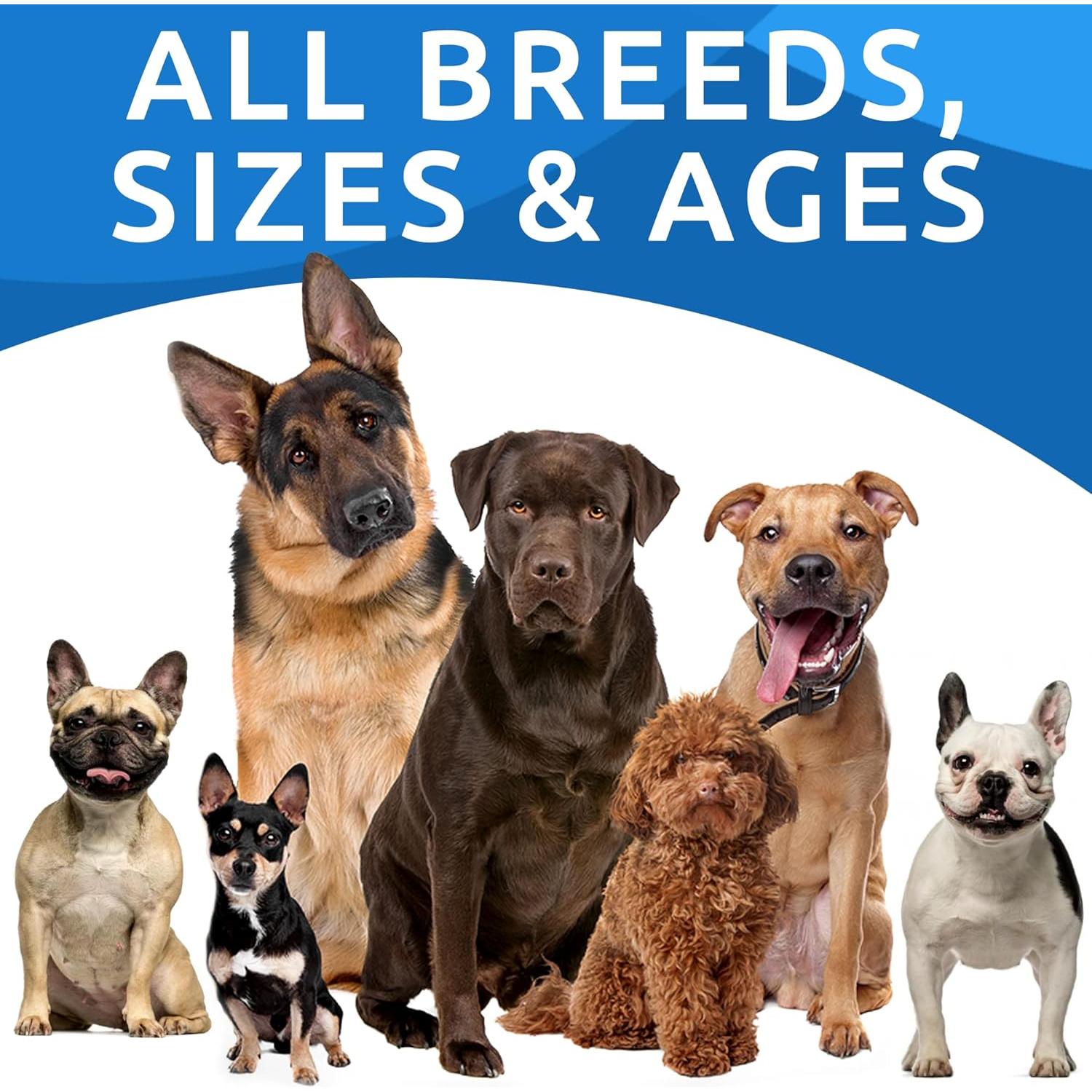 Probioticos para Perros Bark&Spark 240Ct Tocino Salud Digestiva