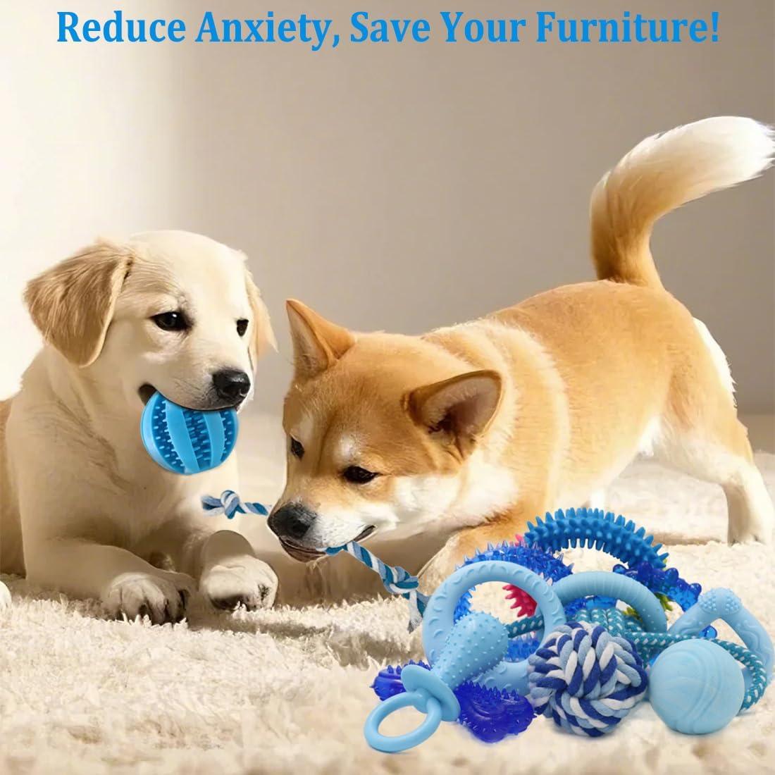 Paquete de 20 Juguetes para Cachorros Beiker - Goma y Cuerda