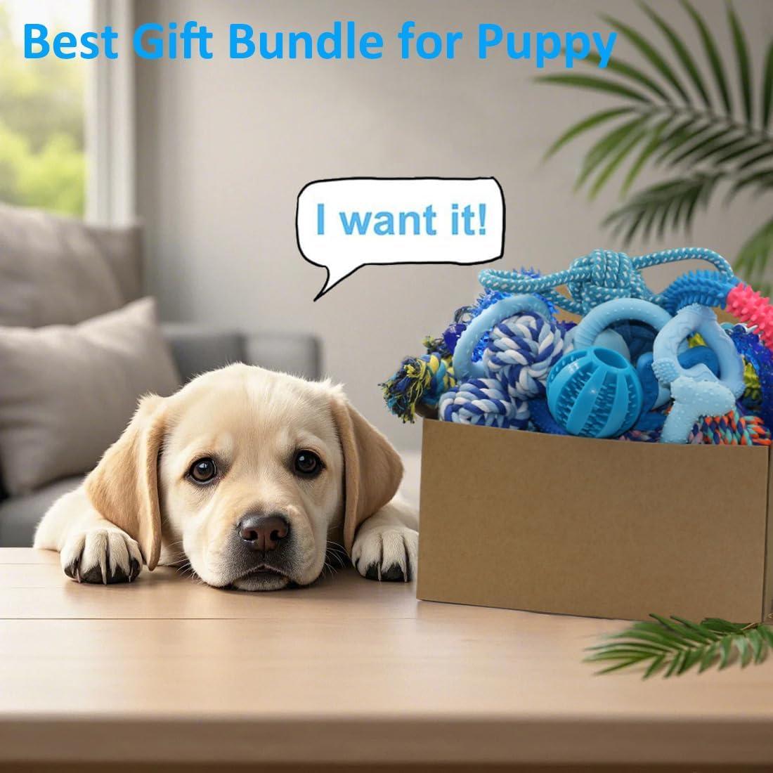 Paquete de 20 Juguetes para Cachorros Beiker - Goma y Cuerda